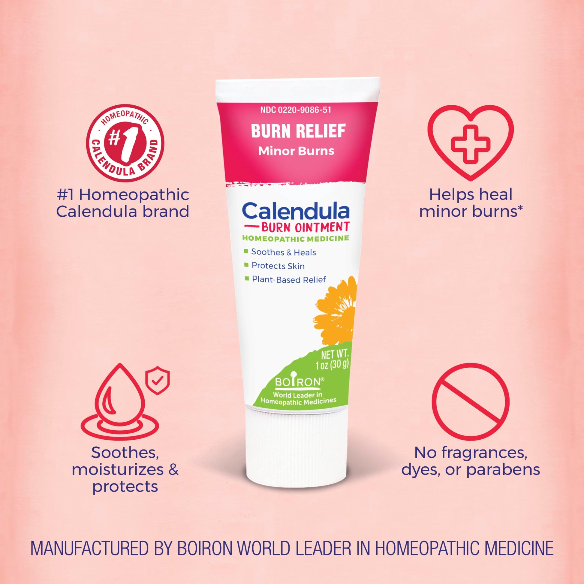 Boiron Calendula Burn Ointment for Relief from Minor Burns from Cooking, Friction, or Sunburns - 1 oz Boiron uk supplements
