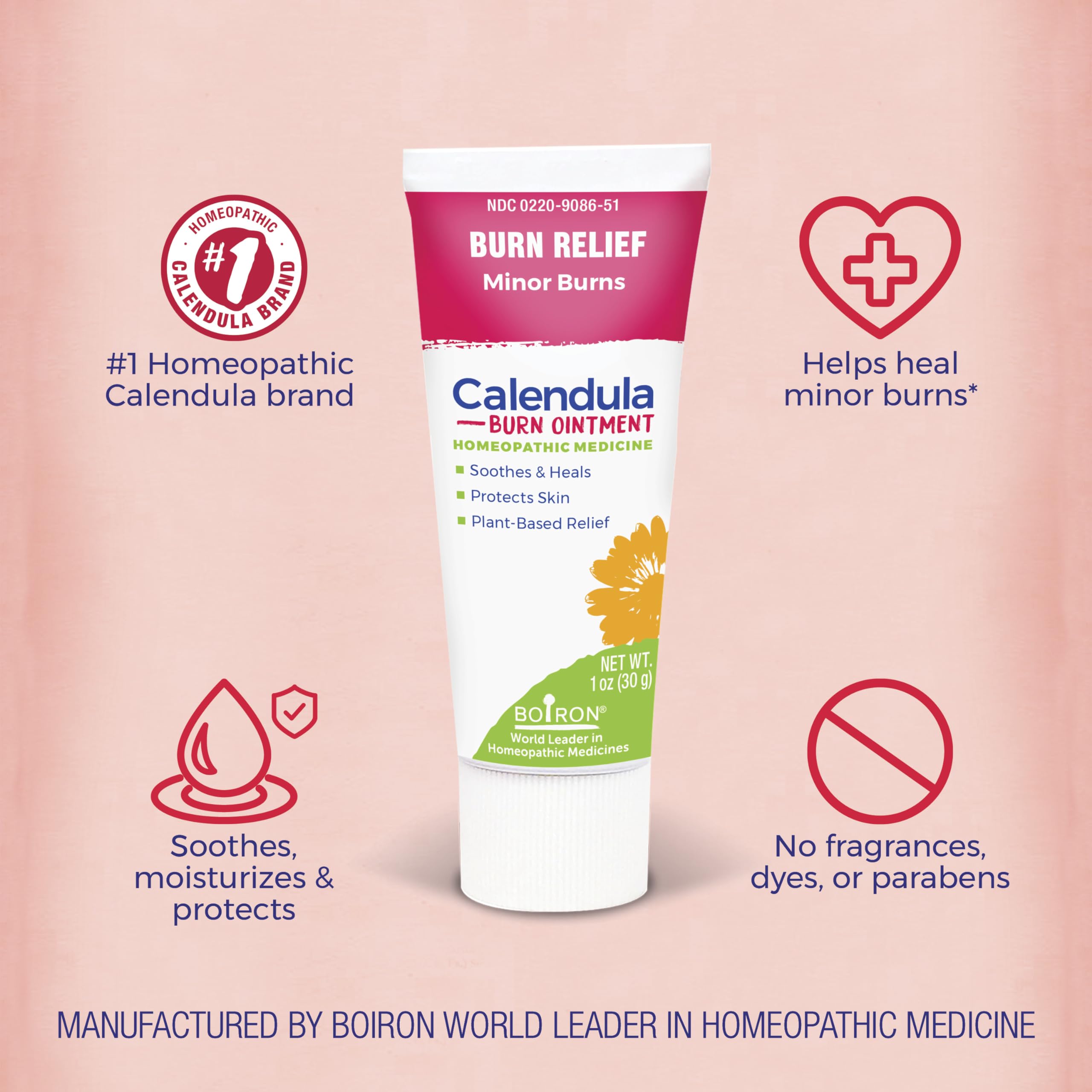 Boiron Calendula Burn Ointment for Relief from Minor Burns from Cooking, Friction, or Sunburns - 1 oz Boiron uk supplements