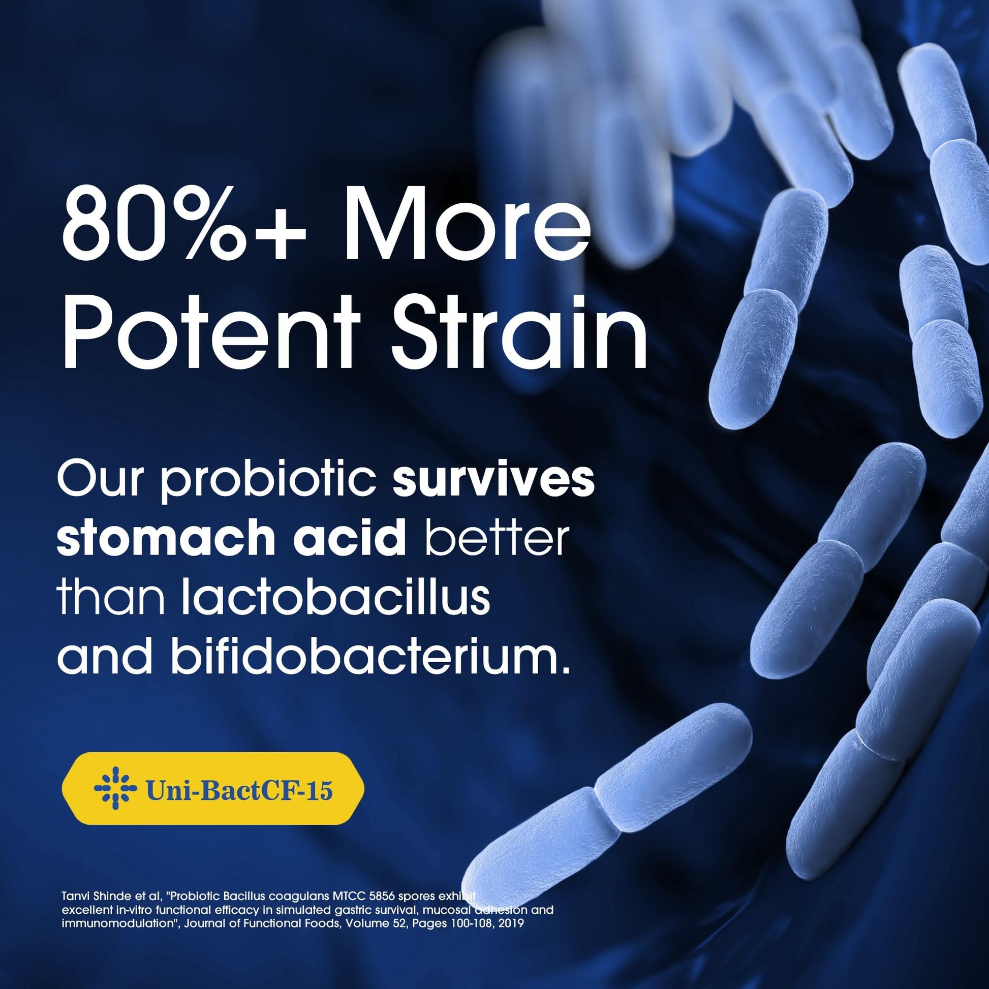 Nutrition Essentials Probiotics for Women and Men - with Lactase Enzyme and Prebiotic Fiber for Digestive Health - 80 Percent + More Potent Supplement for Gut Health Support - Vegan Formula Nutrition Essentials uk supplements