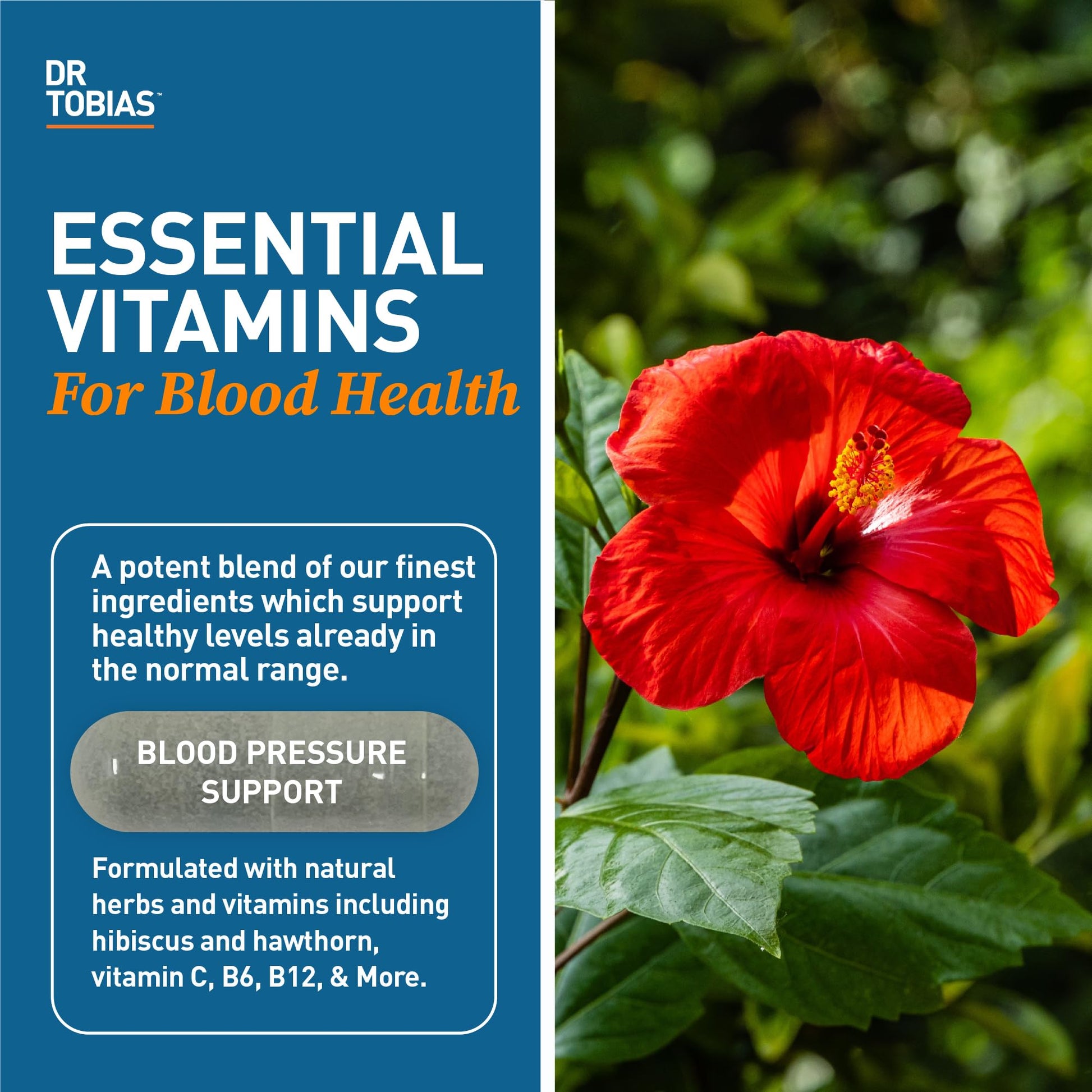Dr. Tobias Blood Pressure Support Supplement with Hawthorn, Hibiscus Flower, Olive Leaf & Garlic, Supports Normal Circulatory Health with Vitamins C, B6, B12, Niacin, Folate & Herbs, 90 Capsules Dr. Tobias uk supplements