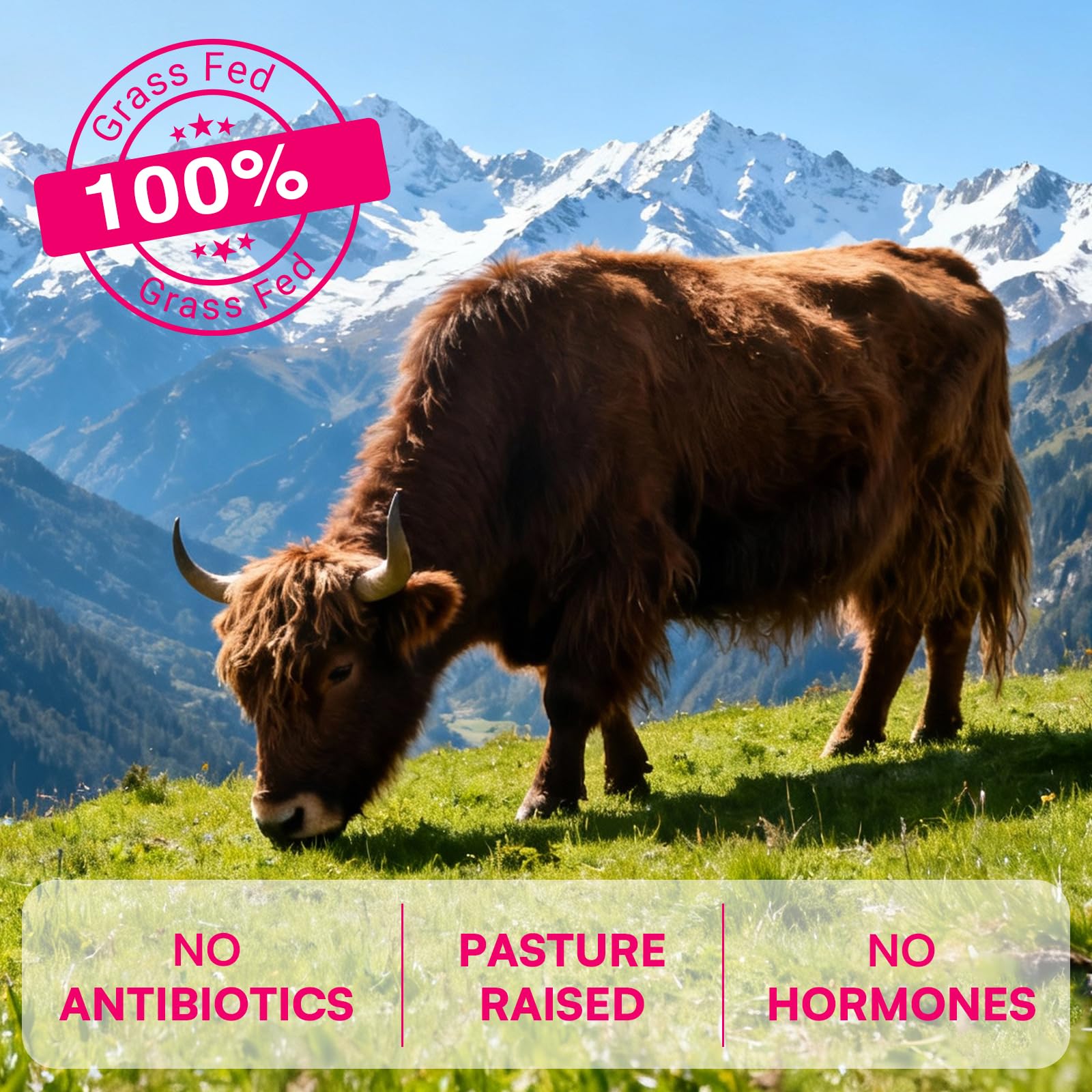 12-In-1 Beef Organ Supplement for Women - Beef Liver, Uterus, Kidney, Heart, Pancreas, 5 Vitamins & 2 Herbs, Hormone Balance, Menstruation, Energy, Immune - 100% Grass Fed, Pasture Raise - 120 Caps Nassiouy uk supplements