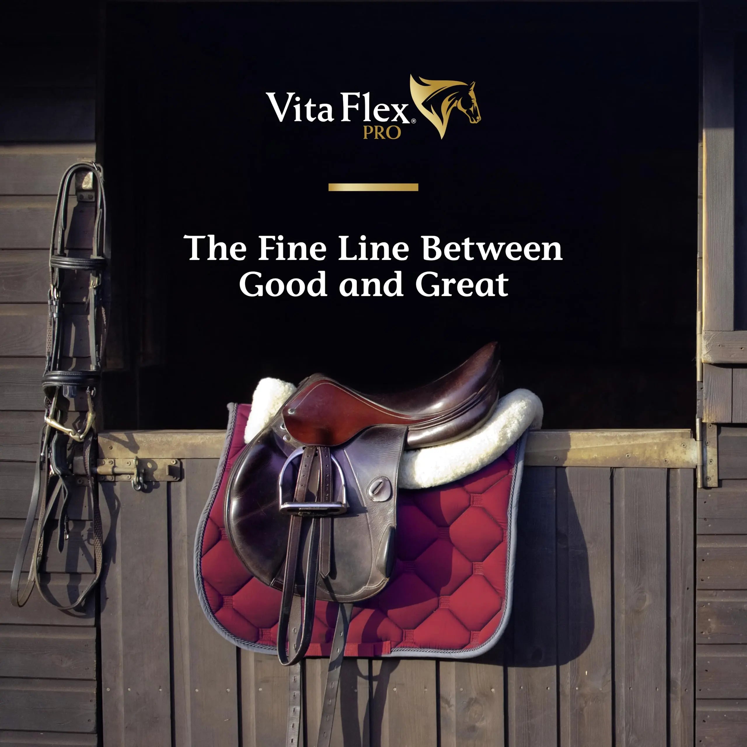 Vita Flex Pro Recovery by the Makers of Lactanase, Post Performance Horse Supplements 40 g, Show Safe Muscle Recovery Supplements, Amino Acids for Horses, Strength & Joint Health Vita Flex uk supplements