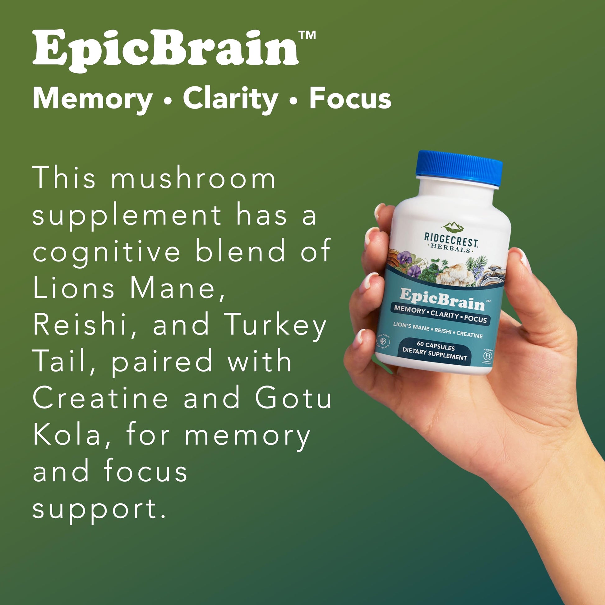RidgeCrest Herbals EpicBrain, Natural Brain Support Supplement with Creatine Monohydrate, Lion's Mane, Reishi, Supports Mental Clarity, Memory, Focus, Stimulant-Free Nootropic (60 Count, 30 Servings) RidgeCrest Herbals uk supplements