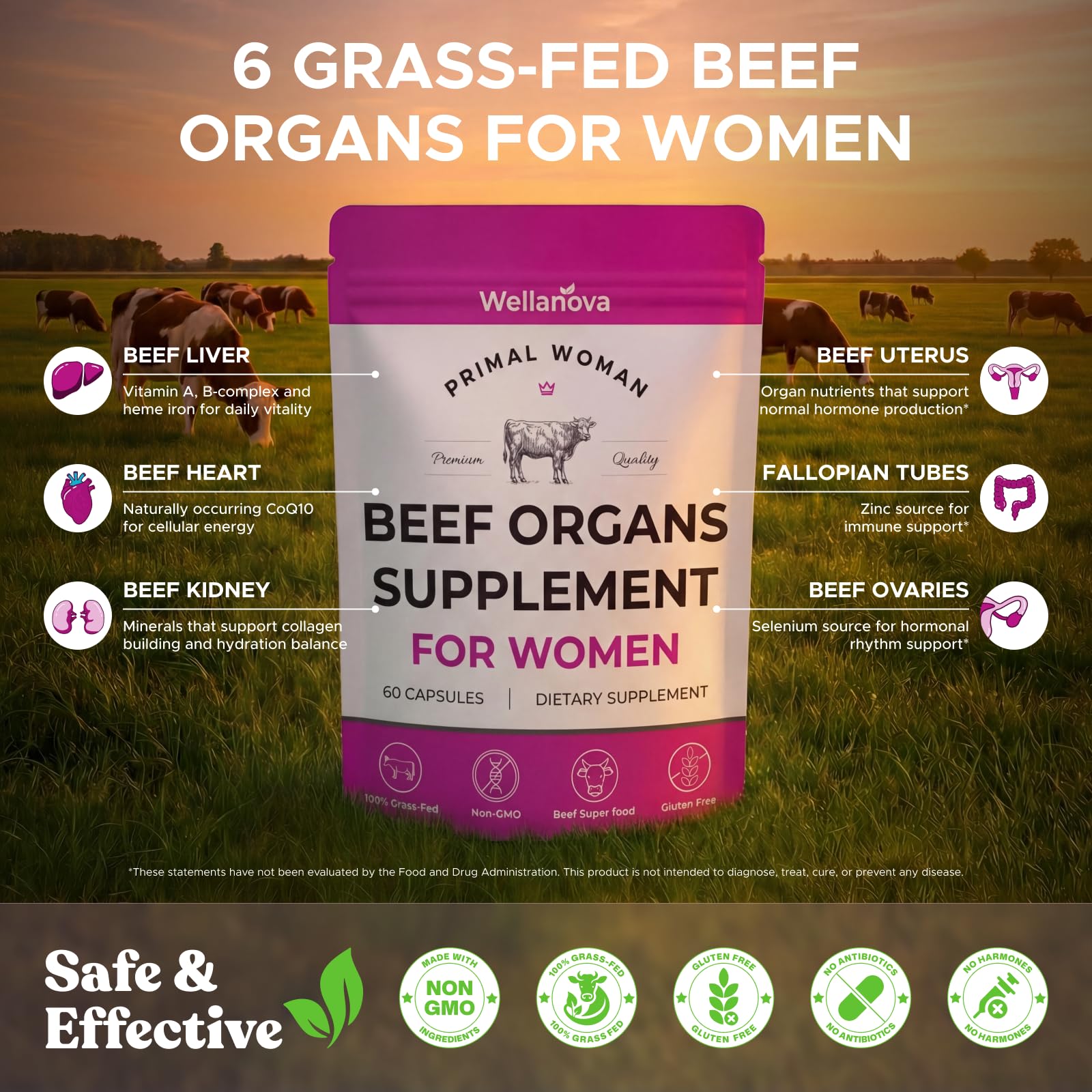 Primal Beef Organ Supplement for Women, Grass-Fed Ancestral Superfood Supplement with Uterus & Liver for Hormone Balance & Queen Energy - 60 Day Supply Wellanova uk supplements