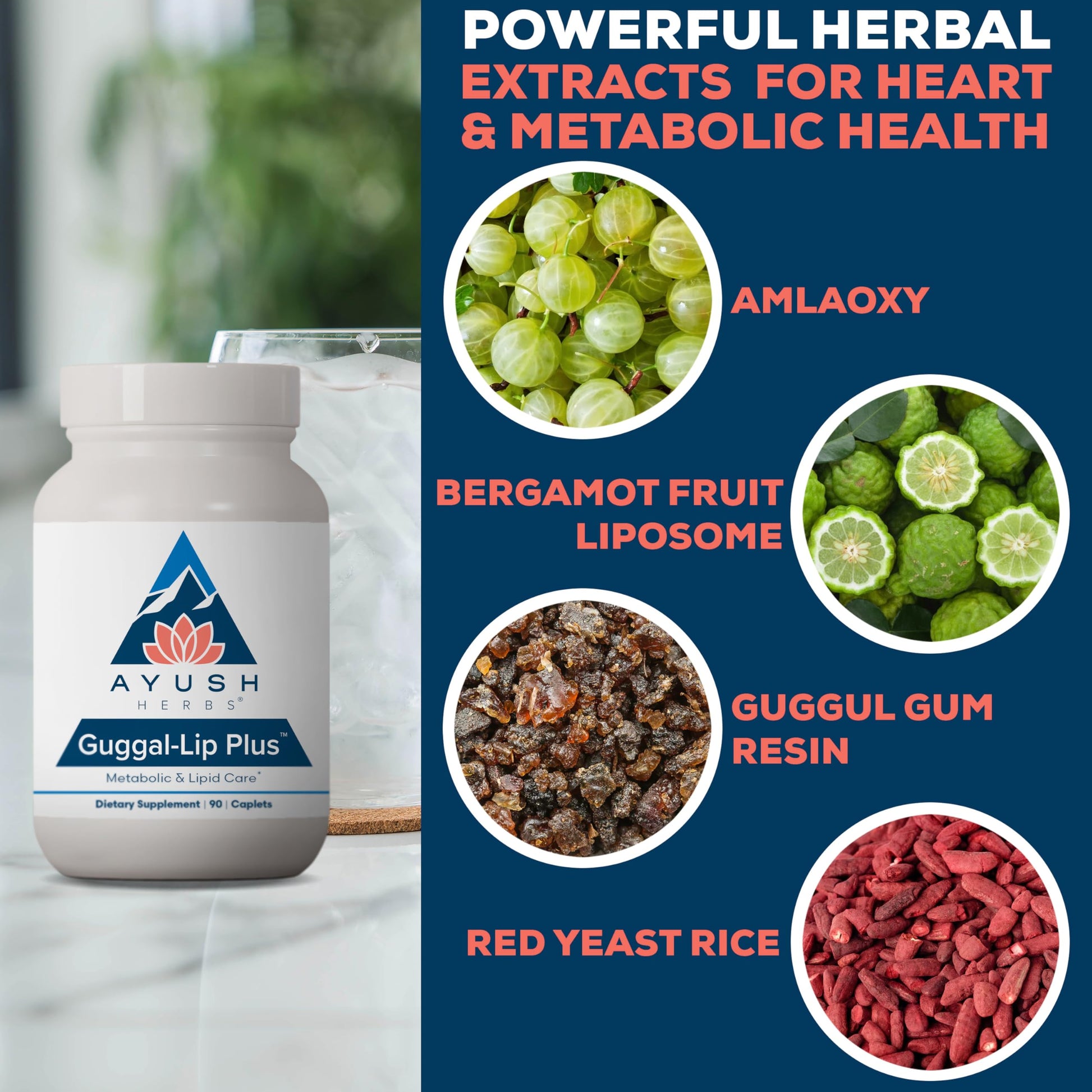 Ayush Herbs Guggal-Lip Plus - Metabolic Vitamins for Women & Men, Daily Pill, Pure & Natural Metabolic Health Supplement with Guggul - 90 Vegetarian Caplets (1 Count) Ayush Herbs uk supplements