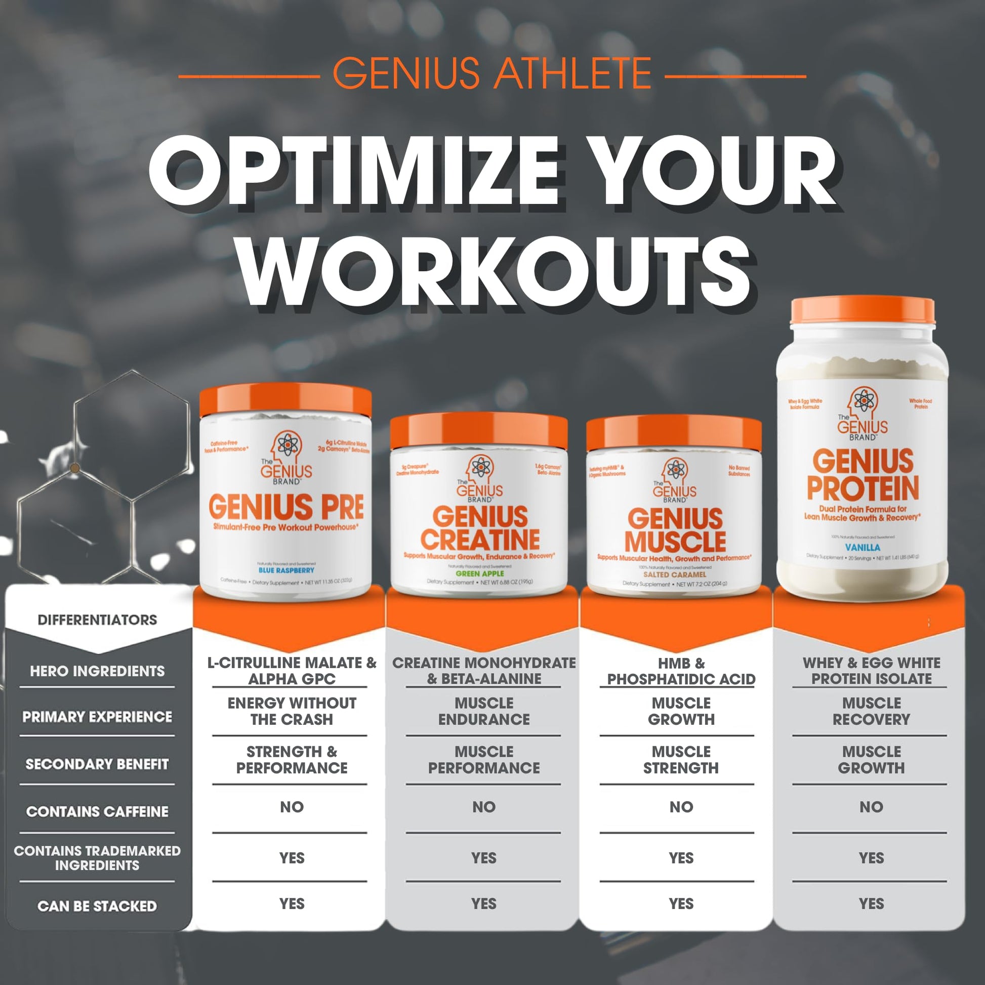 Genius Pre Workout Powder, Blue Raspberry - All-Natural Nootropic Pre-workout & Caffeine The Genius Brand uk supplements