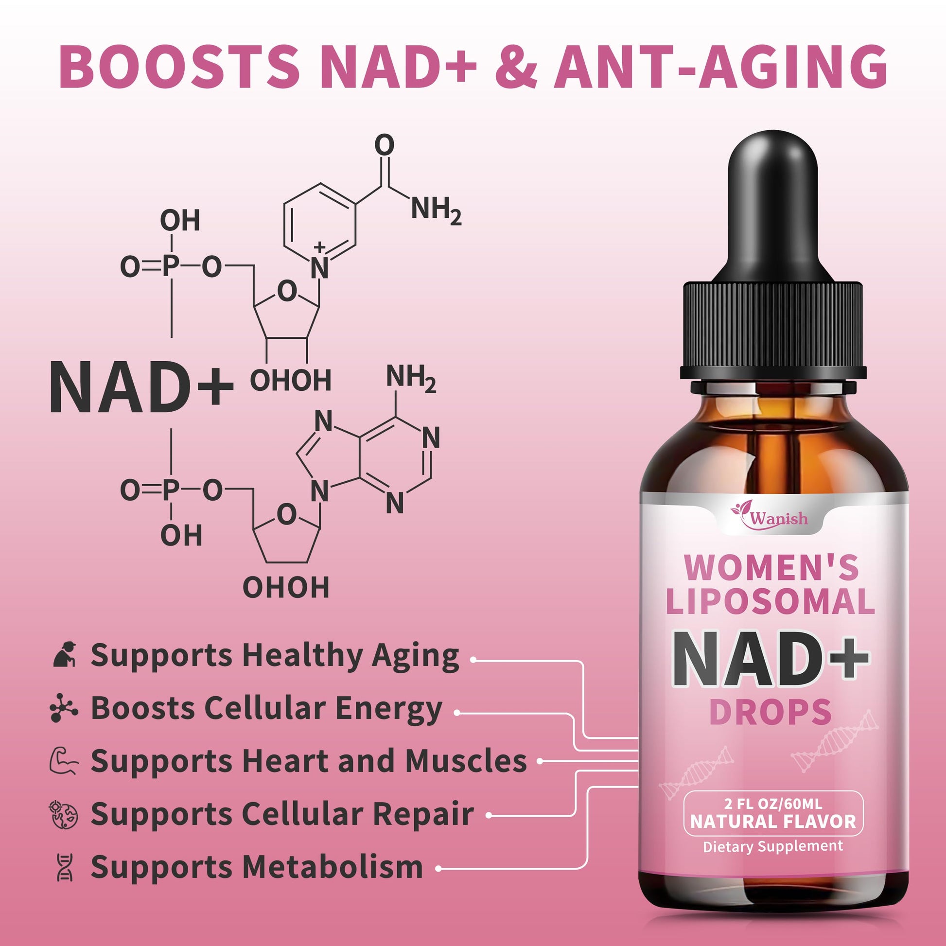 Liposomal NAD Liquid Supplement for Women, Pure 500mg NAD Nicotinamide - Cell Regeneration，Energy & Metabolism Support, Vegan,Sugar Free，Additives Free，2 Fl Oz Wanish uk supplements