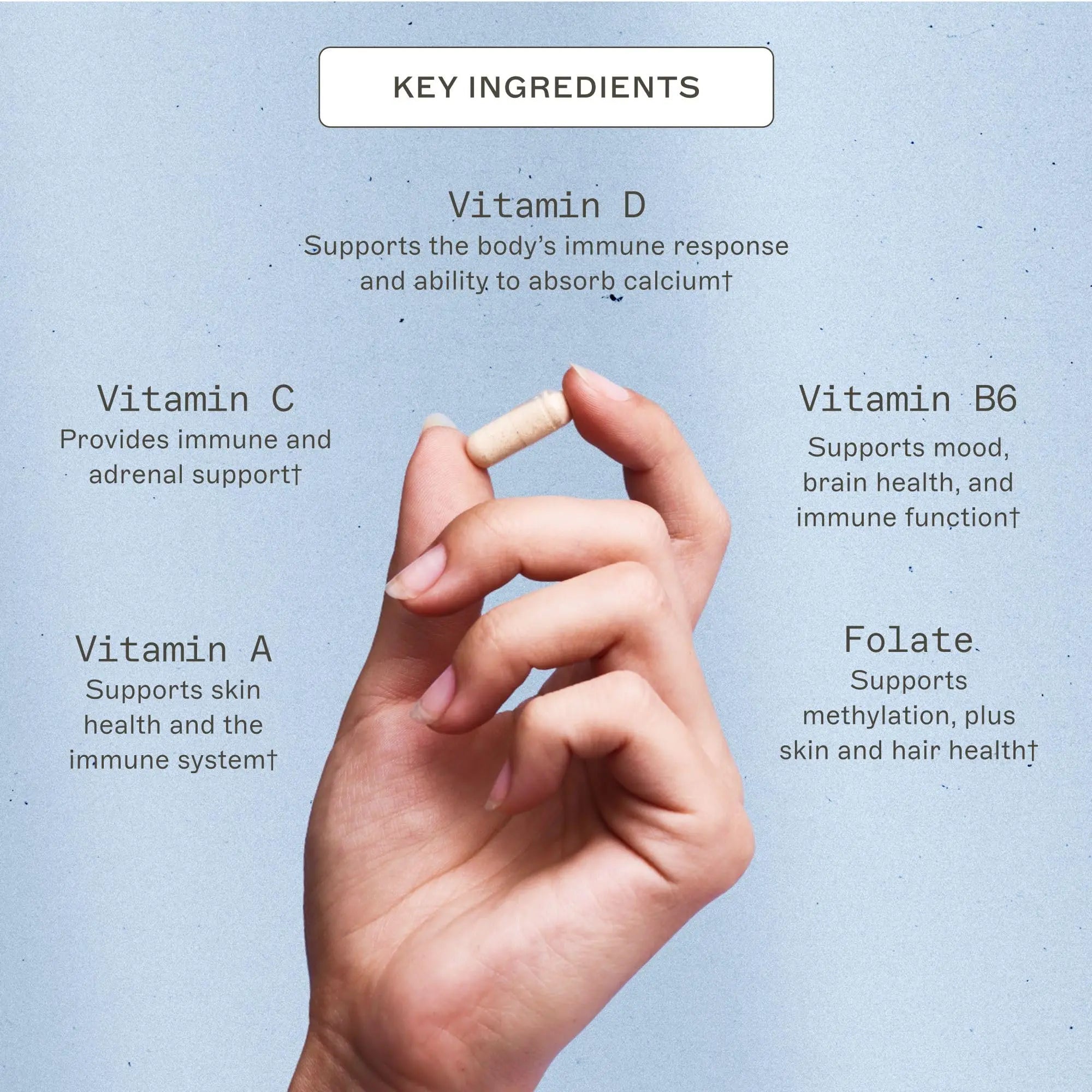 Amy Myers MD The Myers Way Multivitamin - Supports Healthy Immune, Thyroid & Adrenal Function Amy Myers MD uk supplements