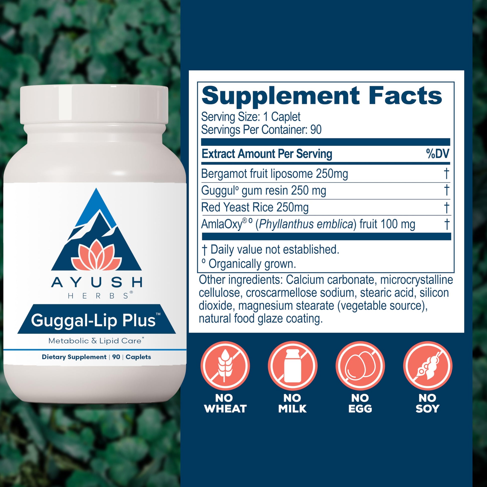 Ayush Herbs Guggal-Lip Plus - Metabolic Vitamins for Women & Men, Daily Pill, Pure & Natural Metabolic Health Supplement with Guggul - 90 Vegetarian Caplets (1 Count) Ayush Herbs uk supplements