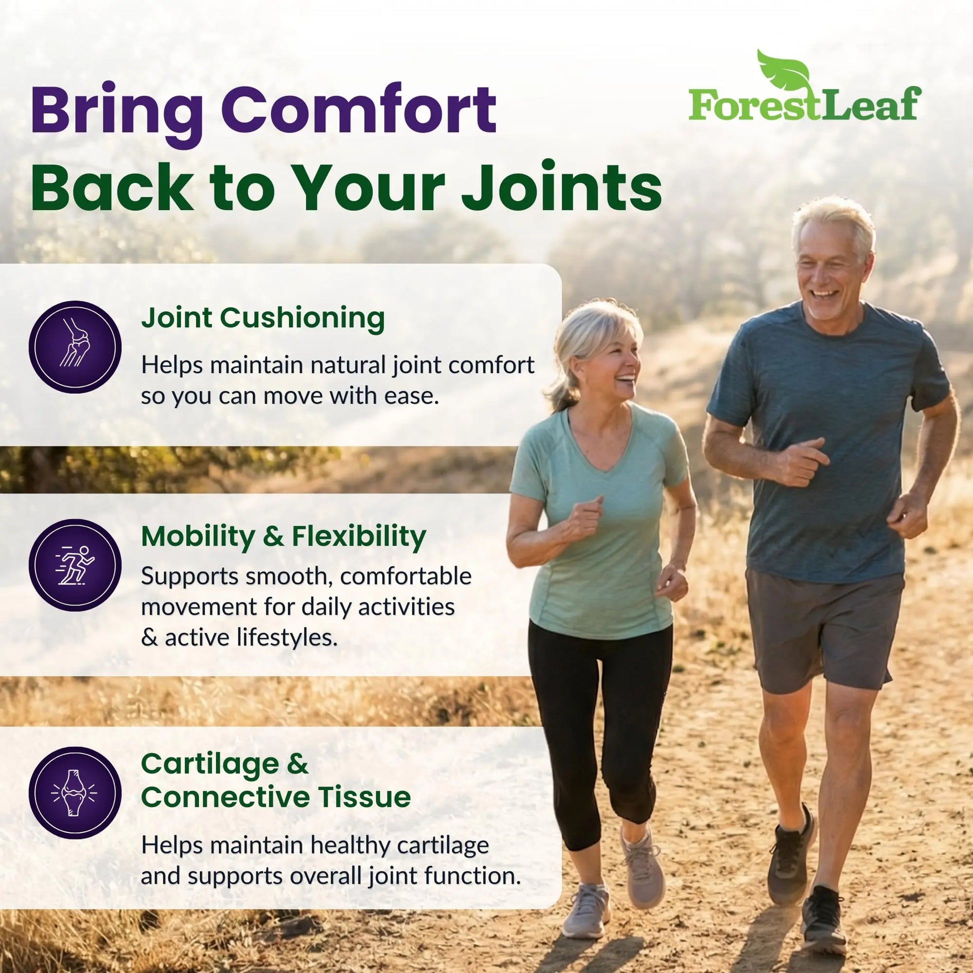 ForestLeaf Glucosamine Chondroitin MSM Joint Supplement Complex - 1200mg - 120 Caps ForestLeaf uk supplements