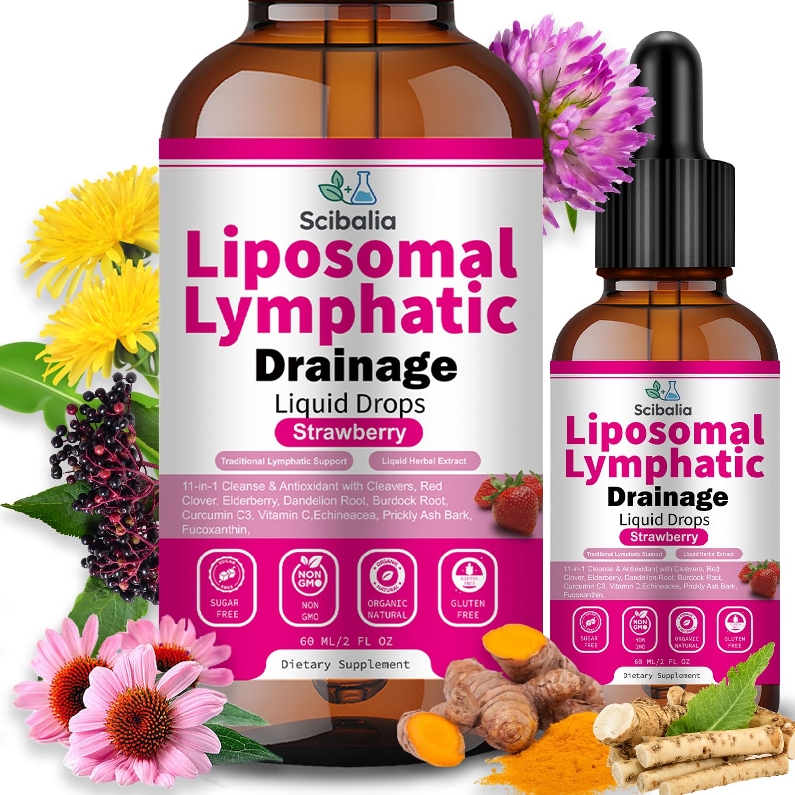 Scibalia Liposomal Lymphatic Drainage Drops, 11-in-1 Organic Lymphatic Support with Red Clover Echinacea Elderberry Burdock Root for Lymph Cleanse Immune Support & Daily Detox Vegan Non-GMO Scibalia uk supplements