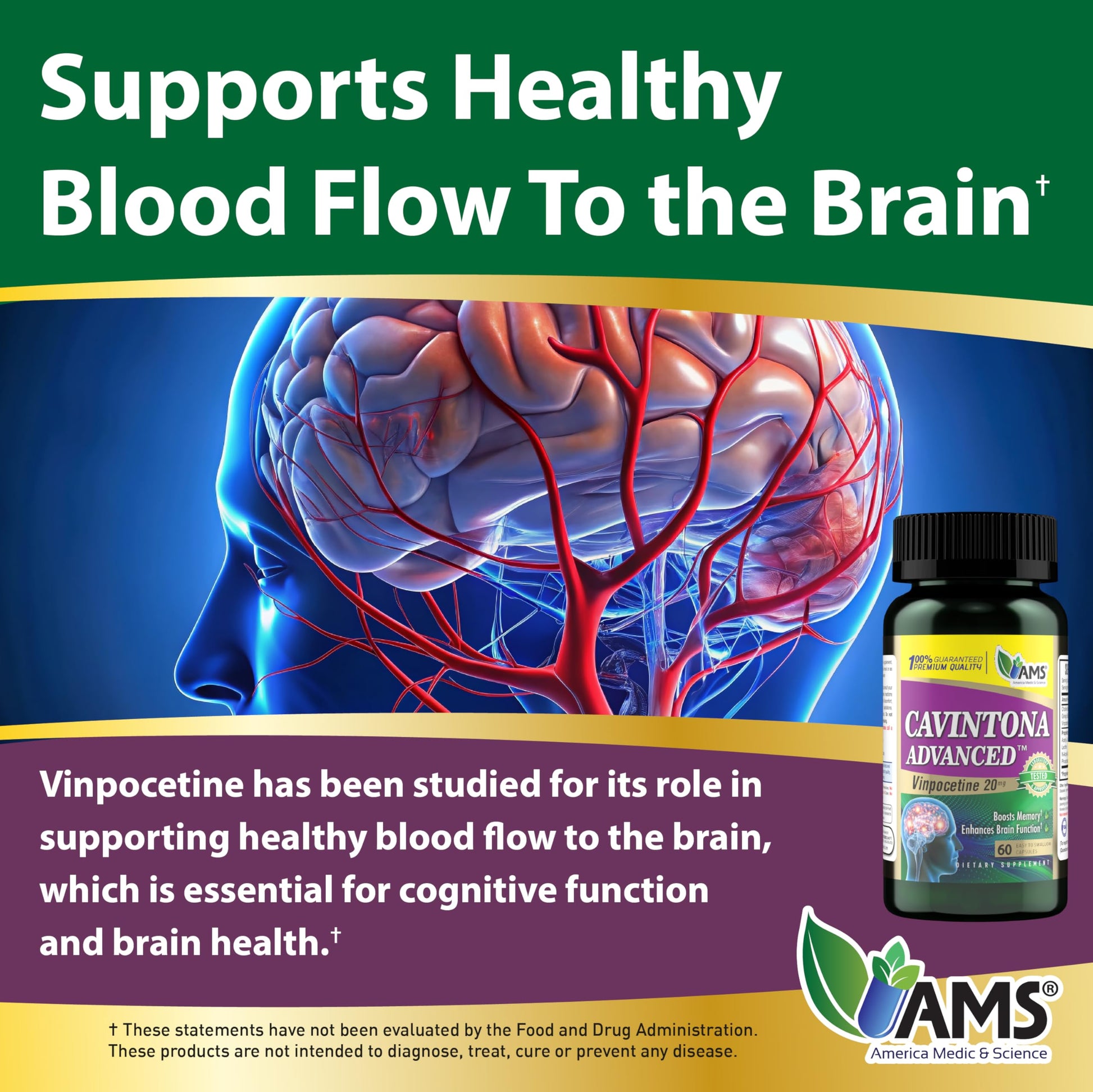 America Medic & Science Cavintona Advanced Supplement – Vinpocetine 20mg for Memory, Recall & Brain Health – Supports Cognitive Function, Focus, Mental Clarity & Blood Flow – 60 Capsules America Medic & Science uk supplements
