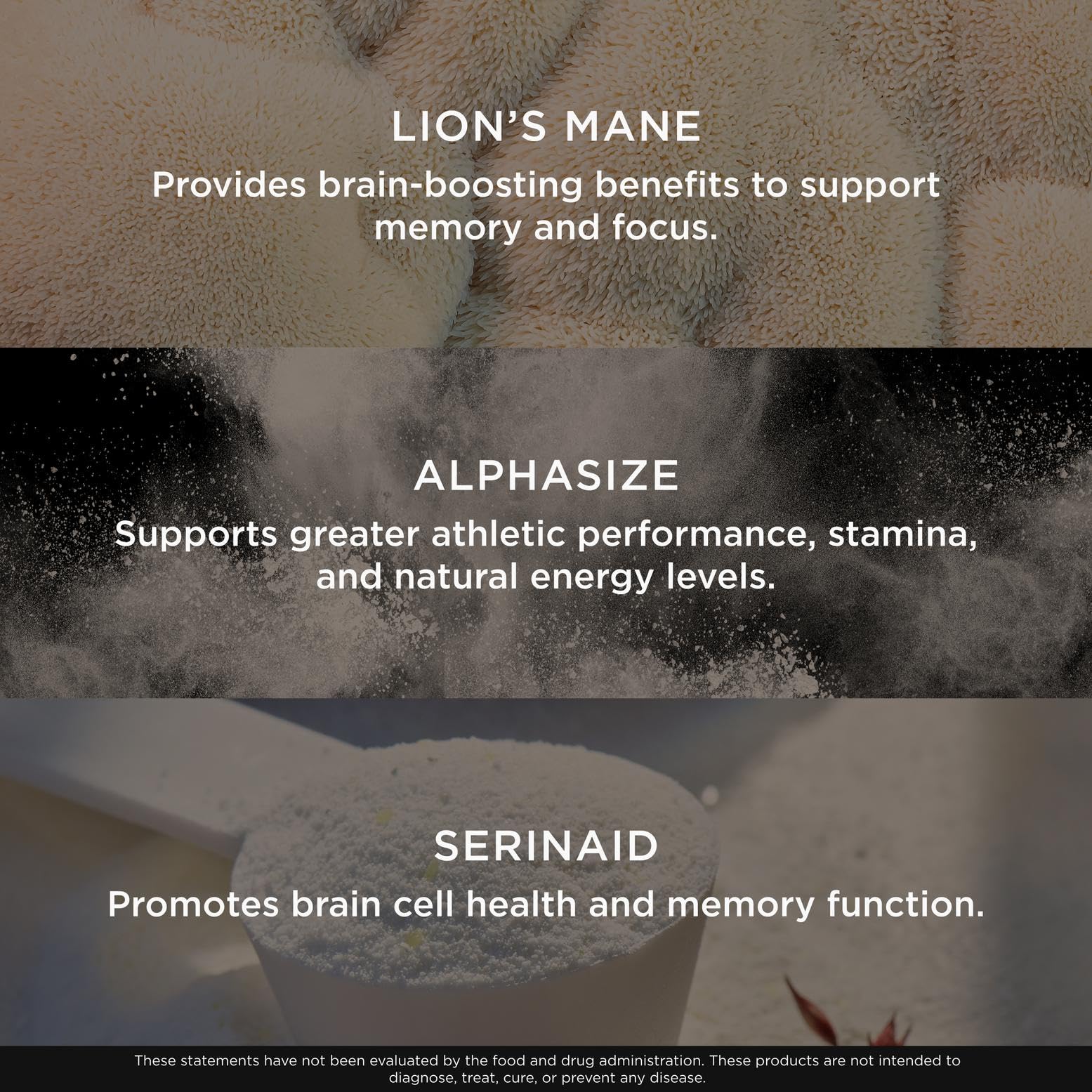 Genius Consciousness, Super Nootropic Brain Supplement Powder, Mango - Boost Focus, Cognitive Function, Concentration & Memory Booster - Alpha GPC & Lions Mane Mushroom for Neuro Energy & IQ The Genius Brand uk supplements
