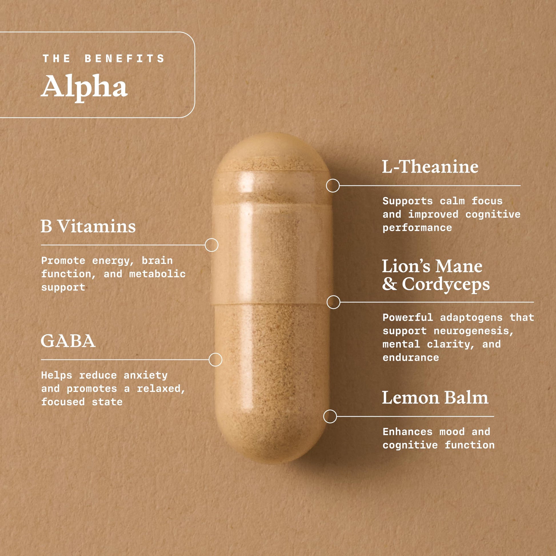 Ultra Life Sport - Alpha Nootropic - 30 Capsule Body and Brain Supplements for Memory and Focus - L-Theanine, B Vitamins, Lion's Mane, Cordyceps Mushrooms, Vitamin D3, K2 MK-7, Lemon Balm and Ginkgo Ultra Life Sport uk supplements