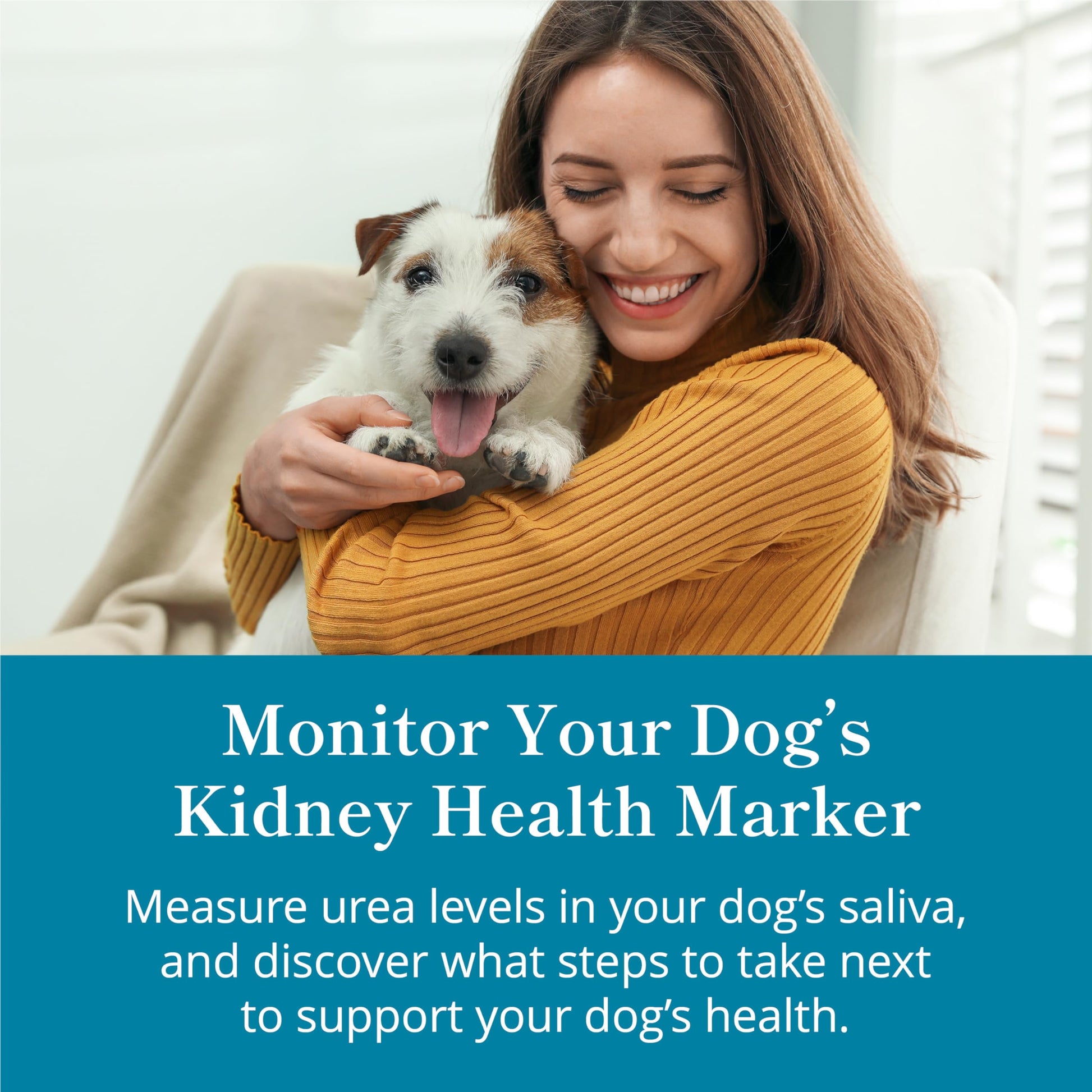 Petivity At-Home Kidney Health Test Kit for Dogs — Quick Saliva Urea Test (2-Minute Home Check), Powered by Purina — Help Detect Early Kidney Changes - (Pack of 3) petivity uk supplements