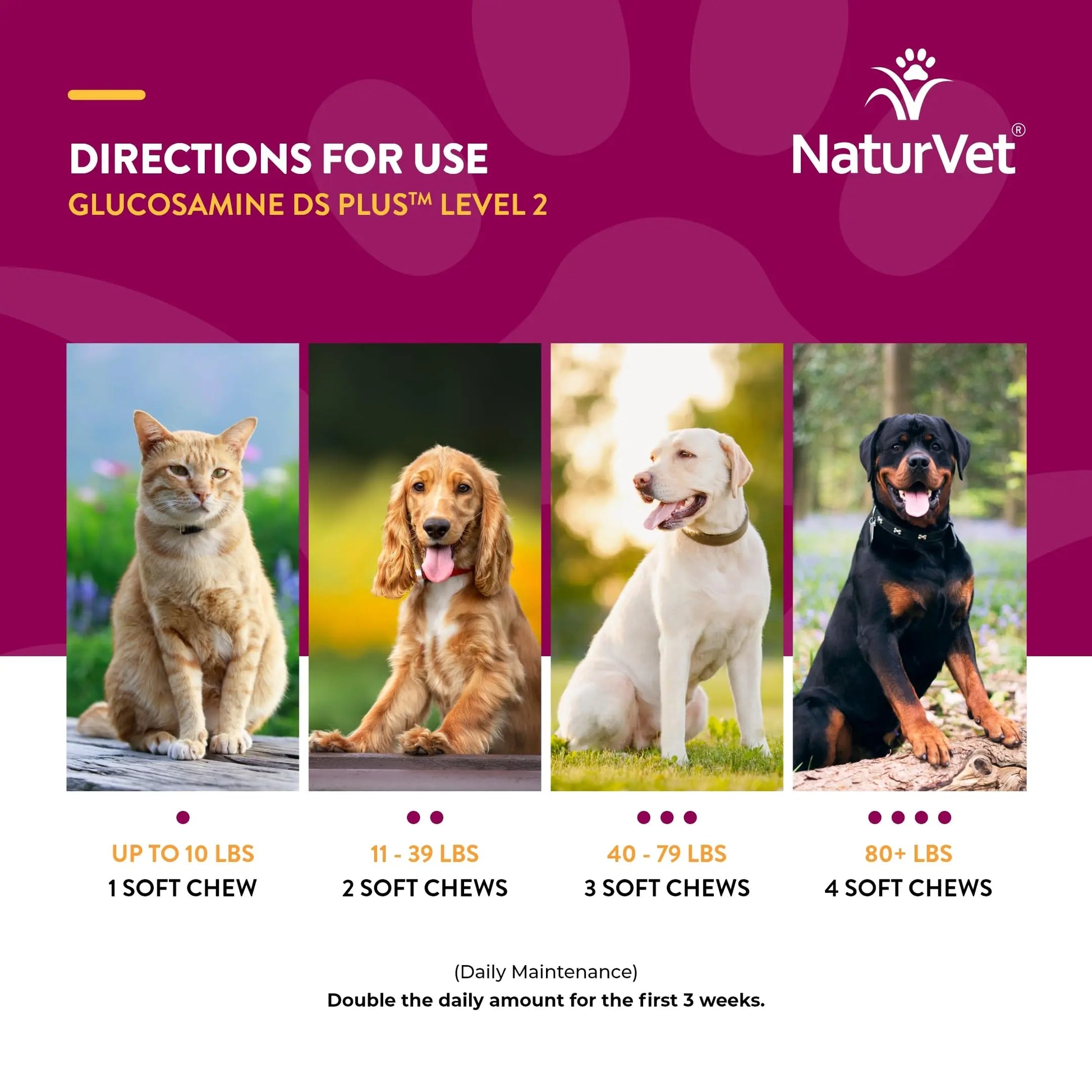 NaturVet – Glucosamine DS Plus - Level 2 Moderate Care – Supports Healthy Hip & Joint Function – Enhanced with Glucosamine, MSM & Chondroitin – for Dogs & Cats–120 Soft Chews NaturVet uk supplements