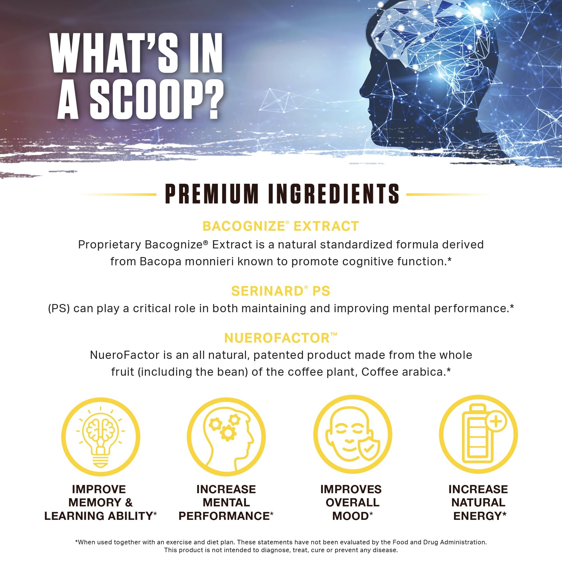 Ambrosia Mental Jewels Nootropic Brain Supplement Powder | Alpha GPC, Bacopa & Phosphatidylserine | Memory, Focus & Concentration Support | 30 Servings | Cherry Limeade Ambrosia uk supplements