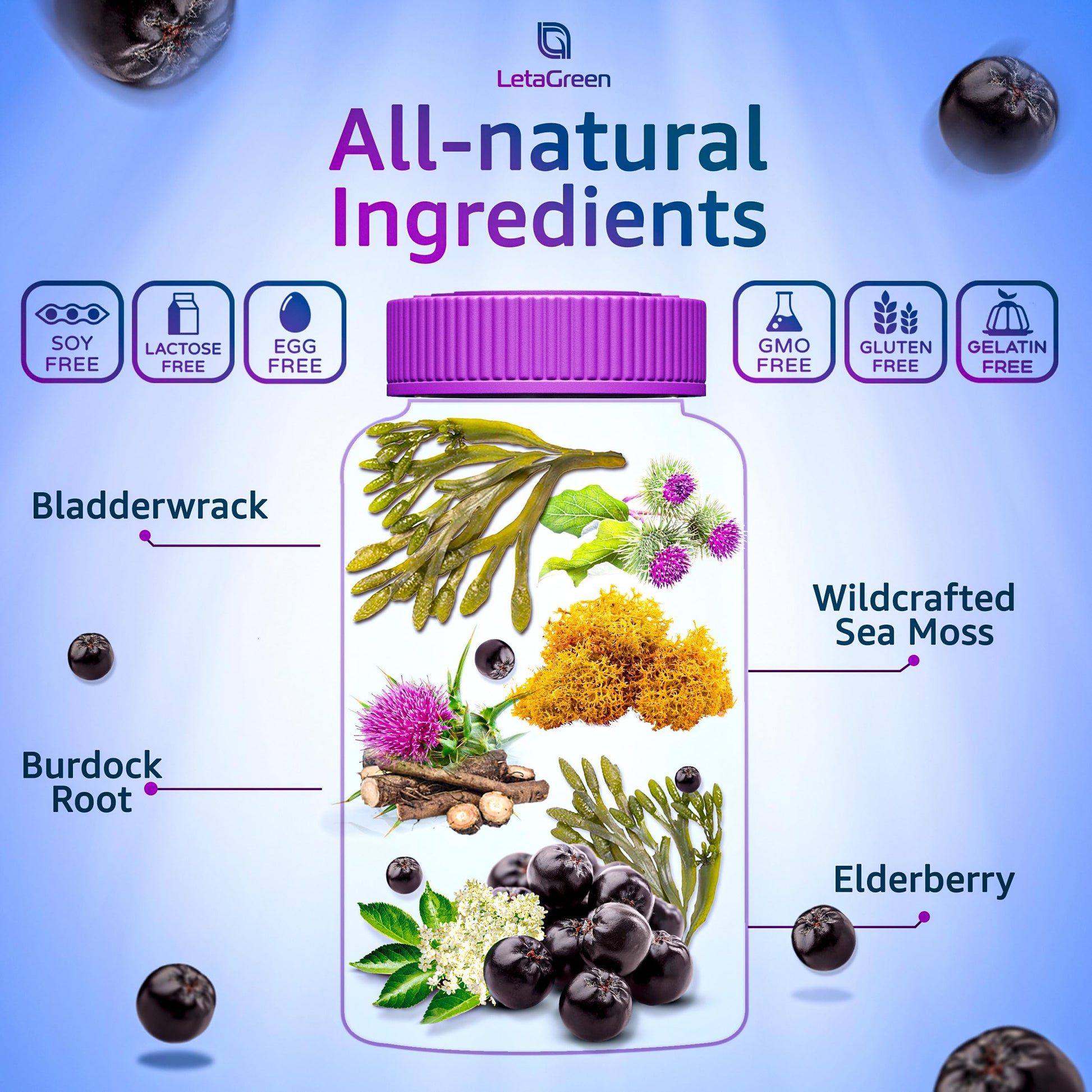 LetaGreen Irish Sea Moss Gummies - 60 Vegan Seamoss Gummies Bears LetaGreen uk supplements