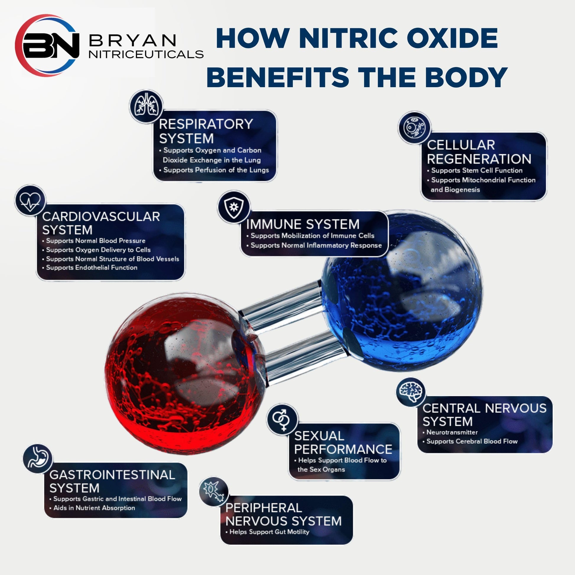 Bryan Nitriceuticals N.O. Beetz Nitric Oxide Fueled Energy Boost Supplement, Hydration & Cellular Energy Production Enhancer, Blend of Vitamins and Minerals (30 Servings) Bryan Nitriceuticals uk supplements