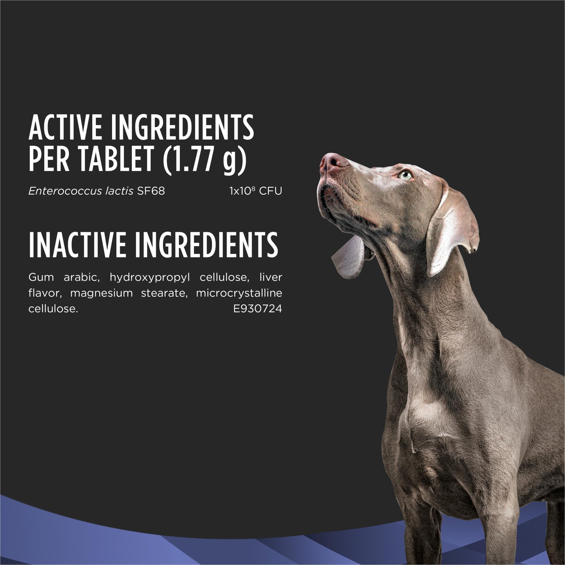 Purina Pro Plan Veterinary Supplements FortiFlora Daily Probiotics for Dogs Chewable Tablets for Digestive Gut Health and Diarrhea - 90 ct. Canister Pro Plan Veterinary Diets uk supplements