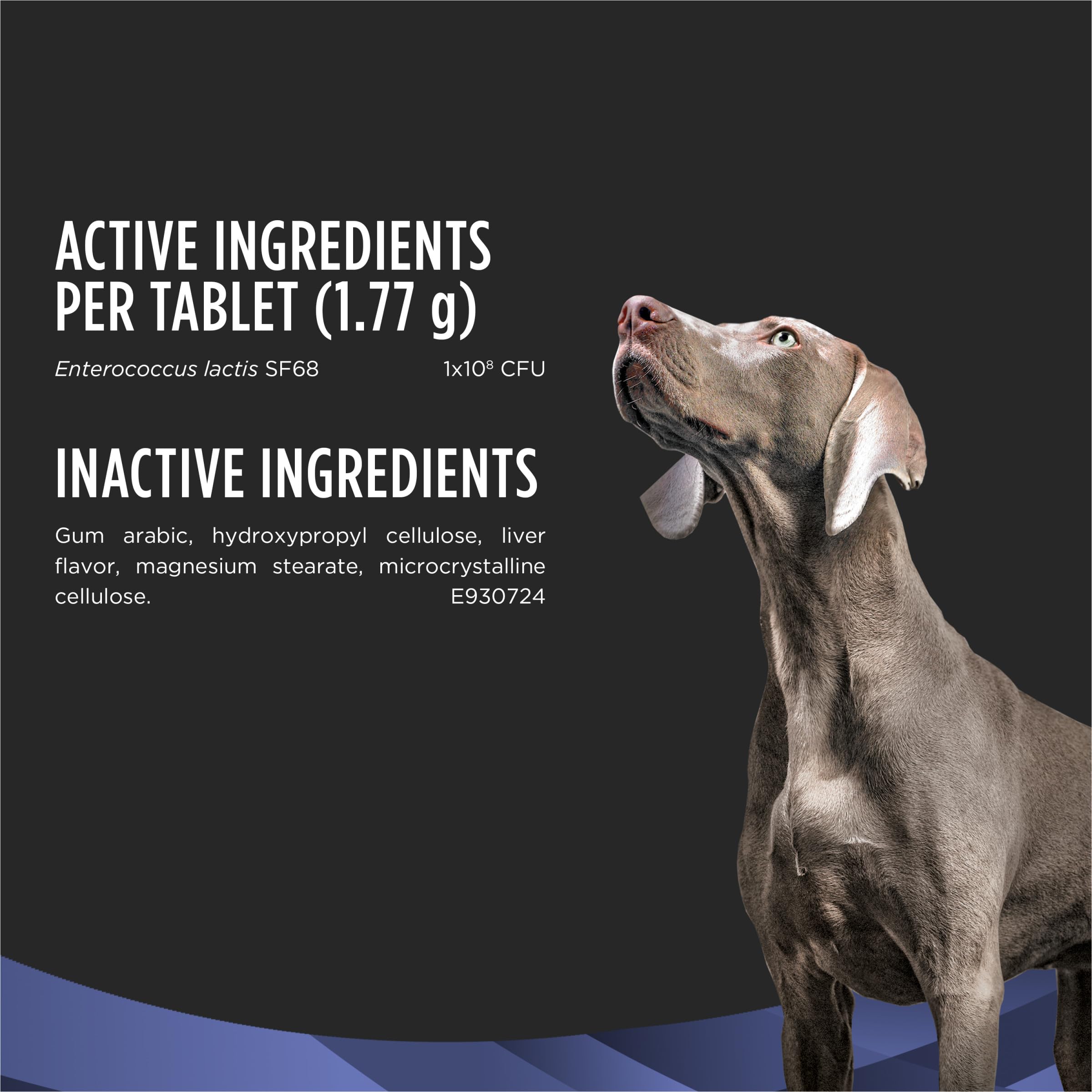 Purina Pro Plan Veterinary Supplements FortiFlora Daily Probiotics for Dogs Chewable Tablets for Digestive Gut Health and Diarrhea - 90 ct. Canister Pro Plan Veterinary Diets uk supplements