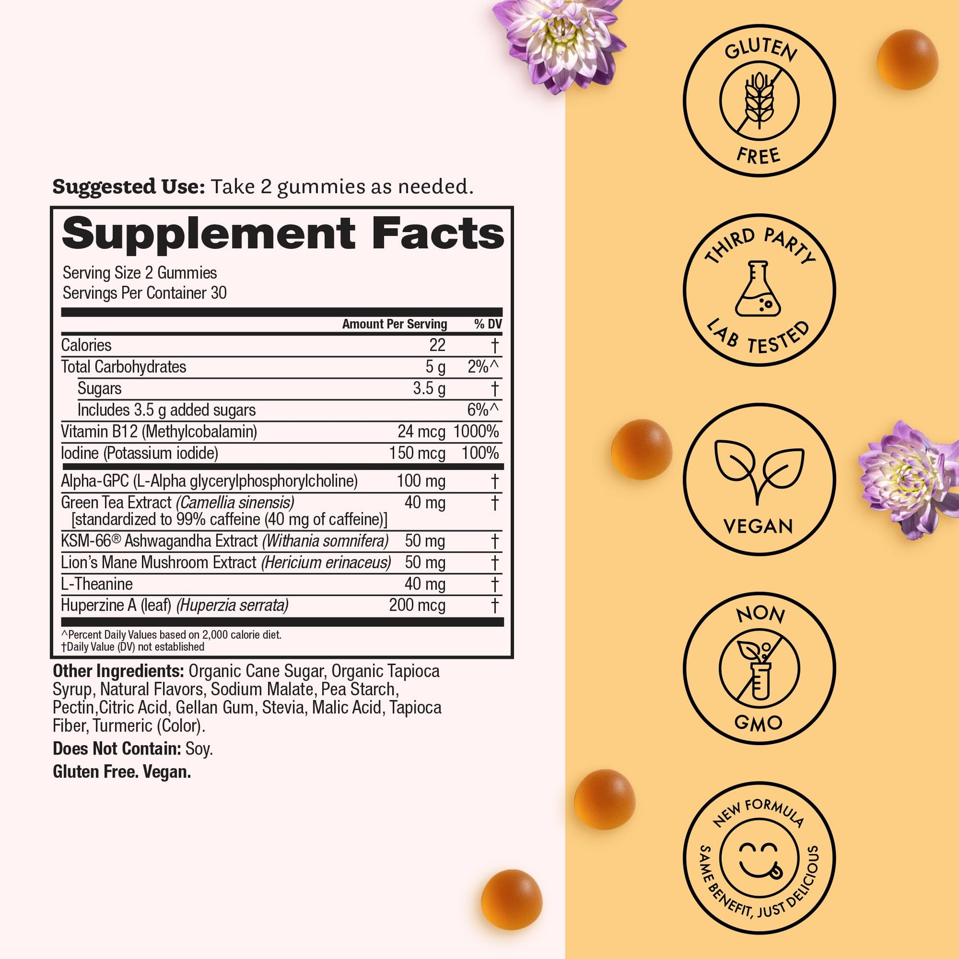 Winged Wellness Rise Up, Energy & Focus Gummies for Women - Daily Brain Boost Gummy Supplement with Natural Caffeine, Ashwagandha, B12, Nootropics Alpha-GPC & Lion’s Mane - Pineapple, 60 Gummies Winged Wellness uk supplements