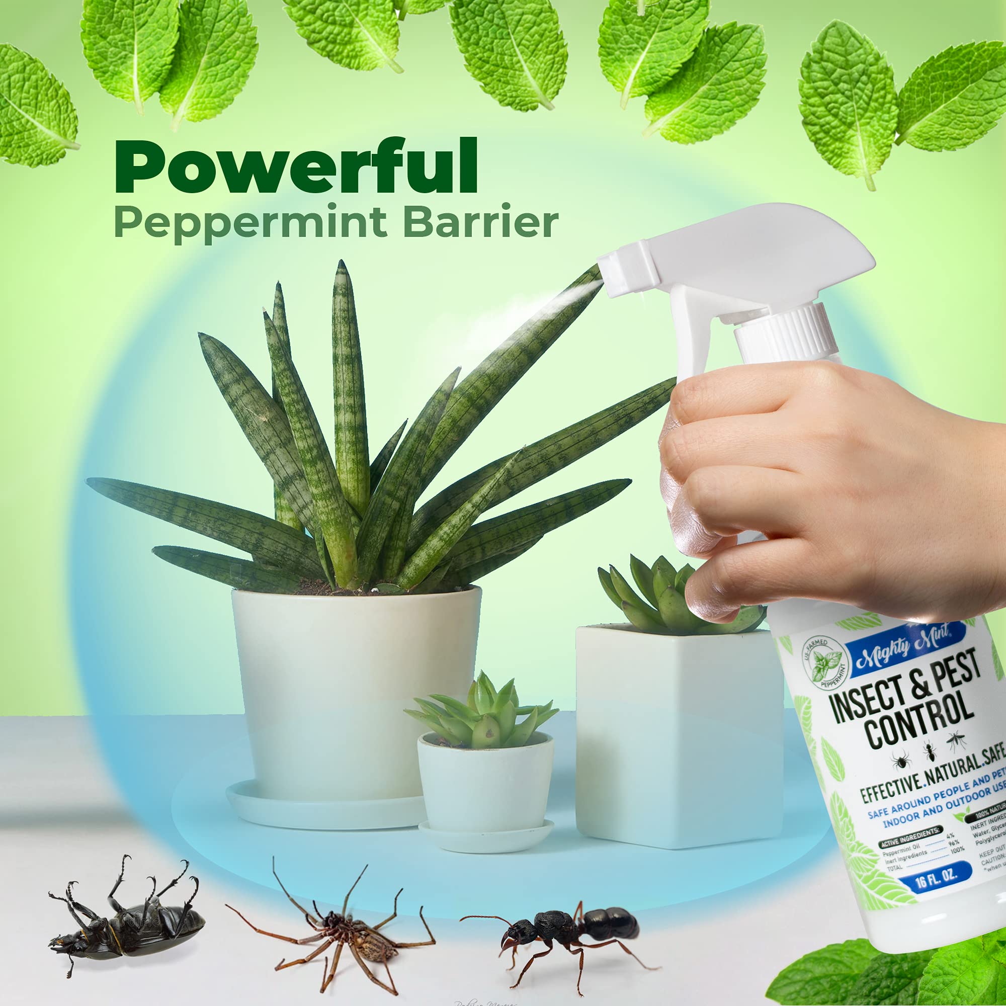 Mighty Mint 16 oz Peppermint Oil Insect & Pest Spray - for Spiders, Ants Mighty Mint uk supplements