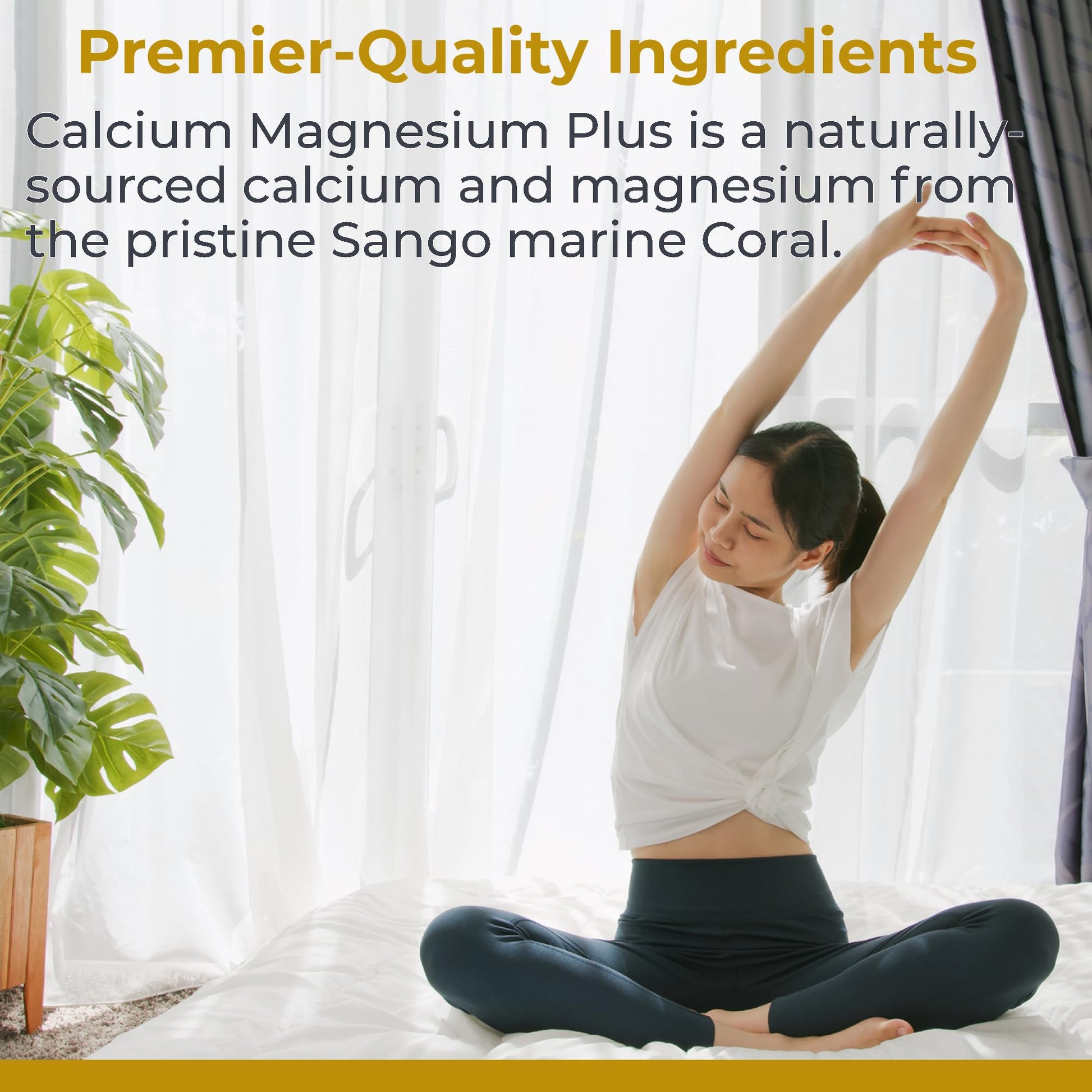 Premier Research Labs Calcium Magnesium Plus - Calcium Magnesium Supplement, Calcium Supplement for Bone Health, with Mushroom Complex - Reishi & Lions Mane - 90 Vegetarian Capsules Premier Research Labs uk supplements