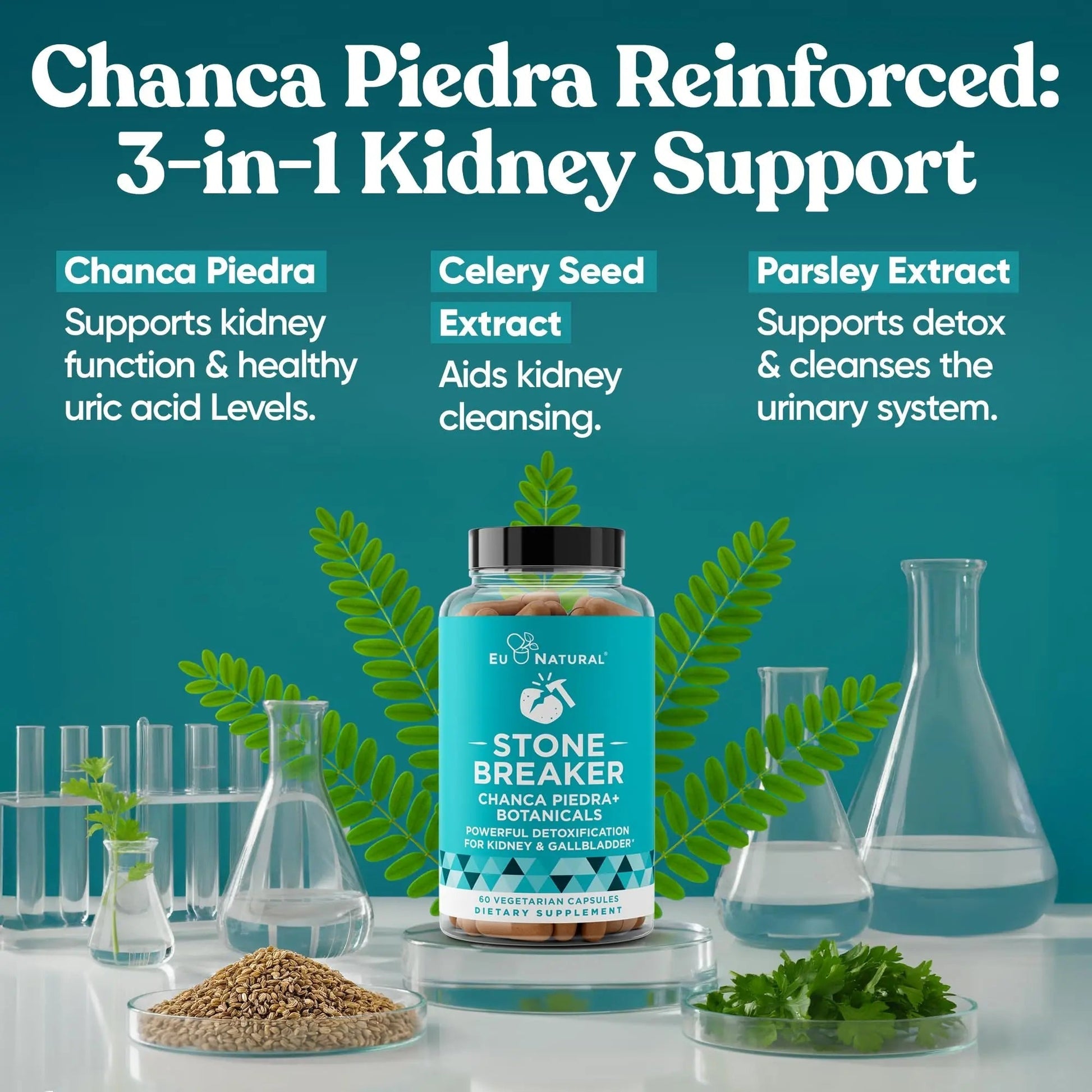 Chanca Piedra Stone Breaker - The Original Stone Breaking Formula with Celery Seed & Parsley - Supports Kidney, Gallbladder & Urinary Tract Cleansing to Help Flush Impurities - 60 Vegetarian Capsules Eu Natural uk supplements