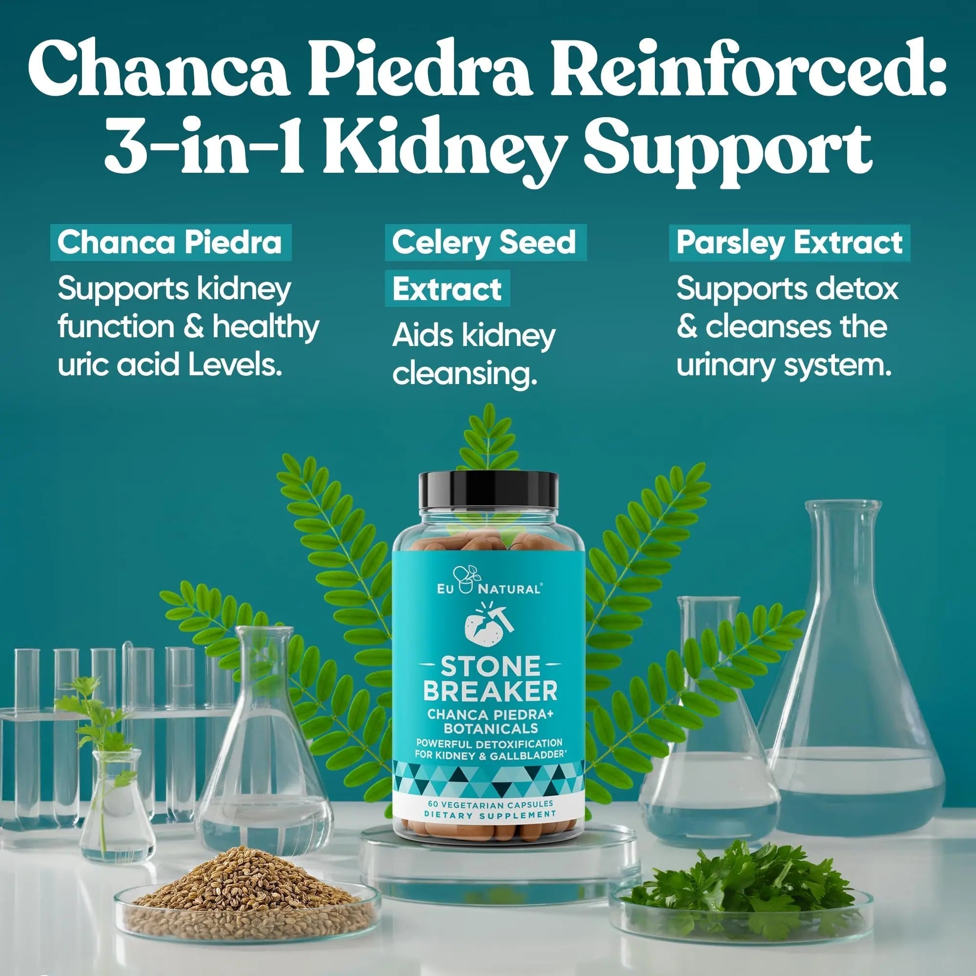 Chanca Piedra Stone Breaker - The Original Stone Breaking Formula with Celery Seed & Parsley - Supports Kidney, Gallbladder & Urinary Tract Cleansing to Help Flush Impurities - 60 Vegetarian Capsules Eu Natural uk supplements
