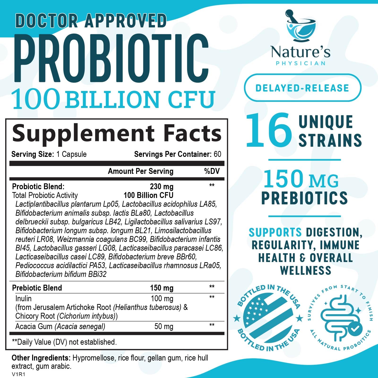 Nature's Physician Probiotics - 100 Billion CFU - 16 Strains + Prebiotics - Best Probiotic Supplement for Women & Men - Supports Immune, Digestive Health, Occasional Constipation & Gas - 60 Capsules Nature's Physician uk supplements