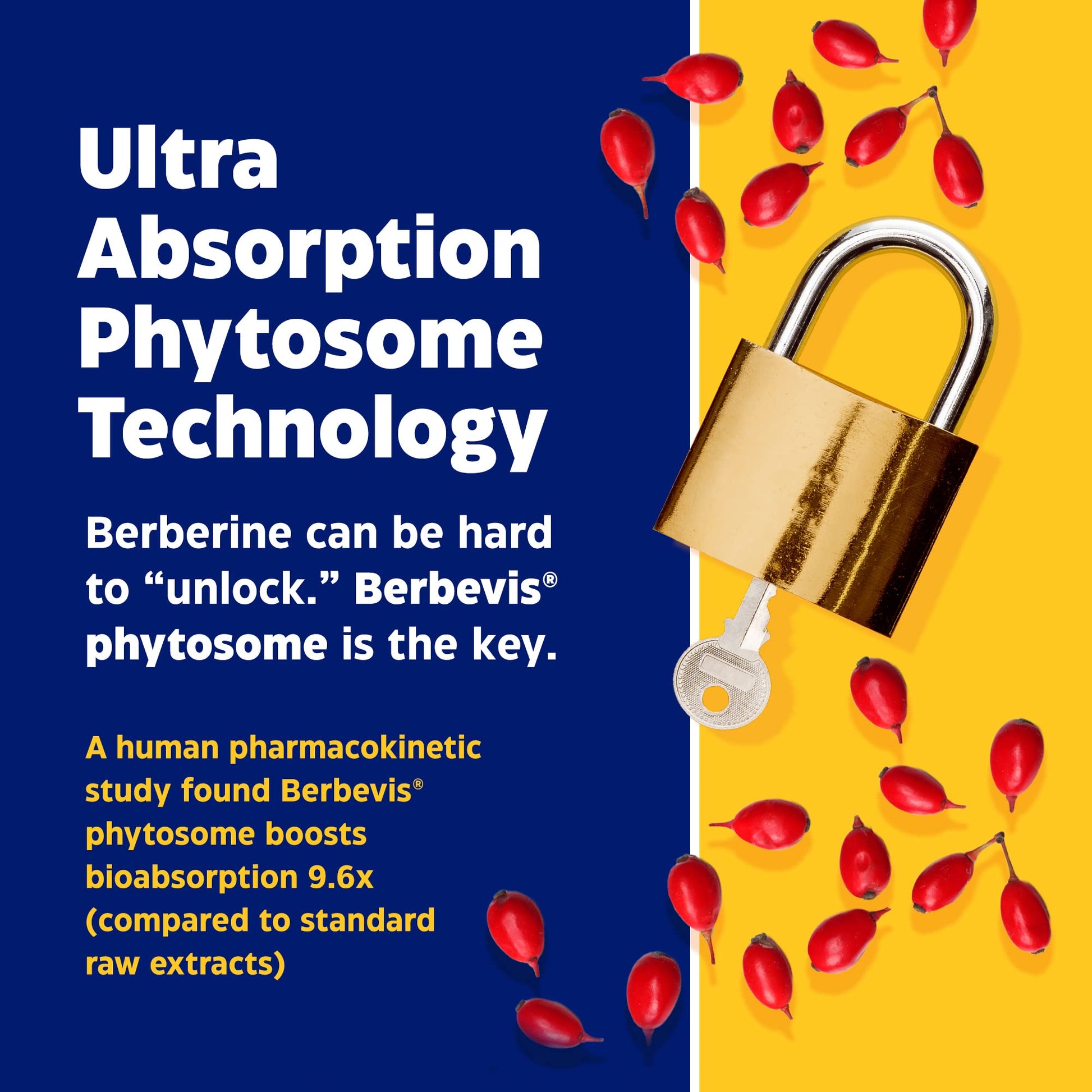 Enzymedica, Berberine Phytosome Enzymedica uk supplements