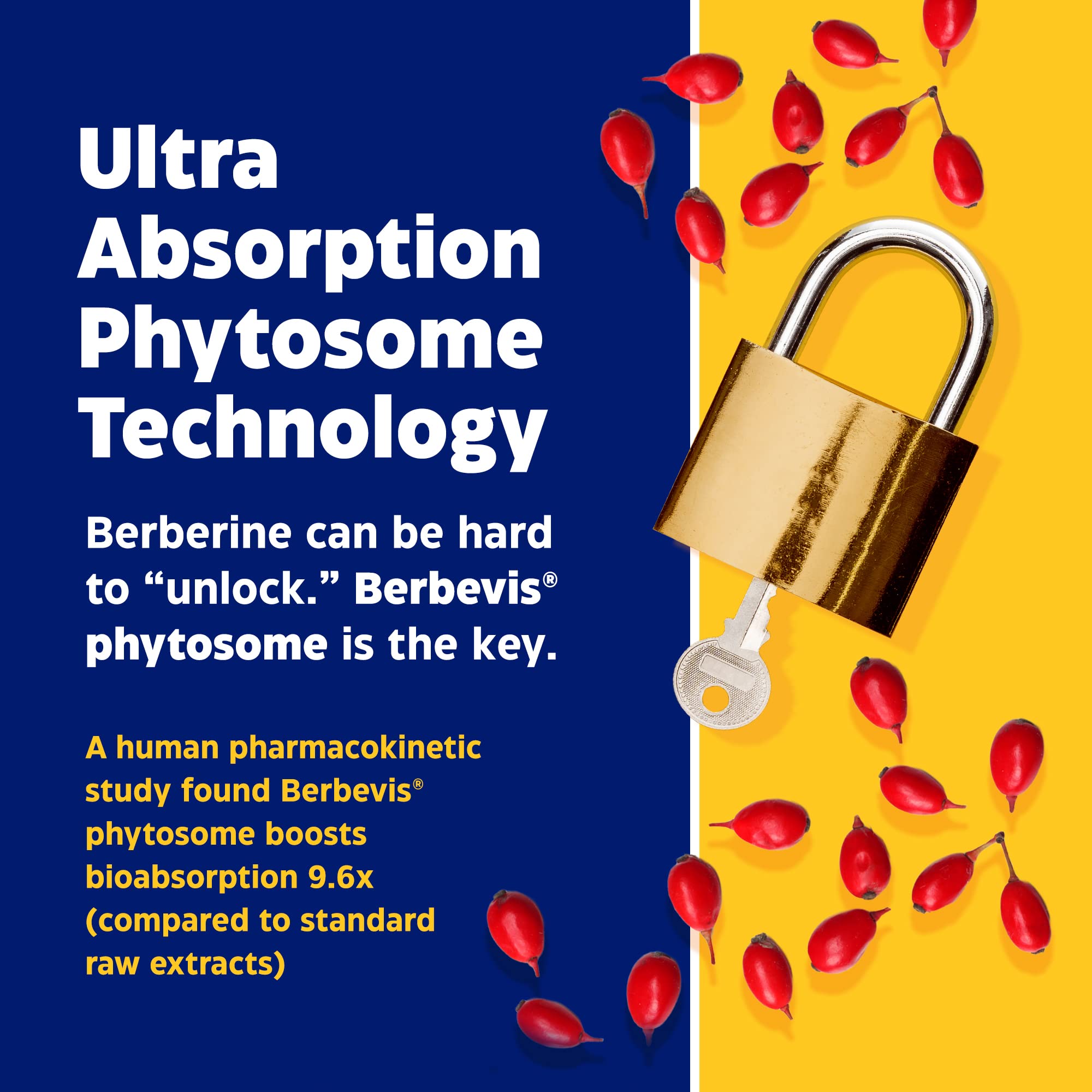 Enzymedica, Berberine Phytosome Enzymedica uk supplements