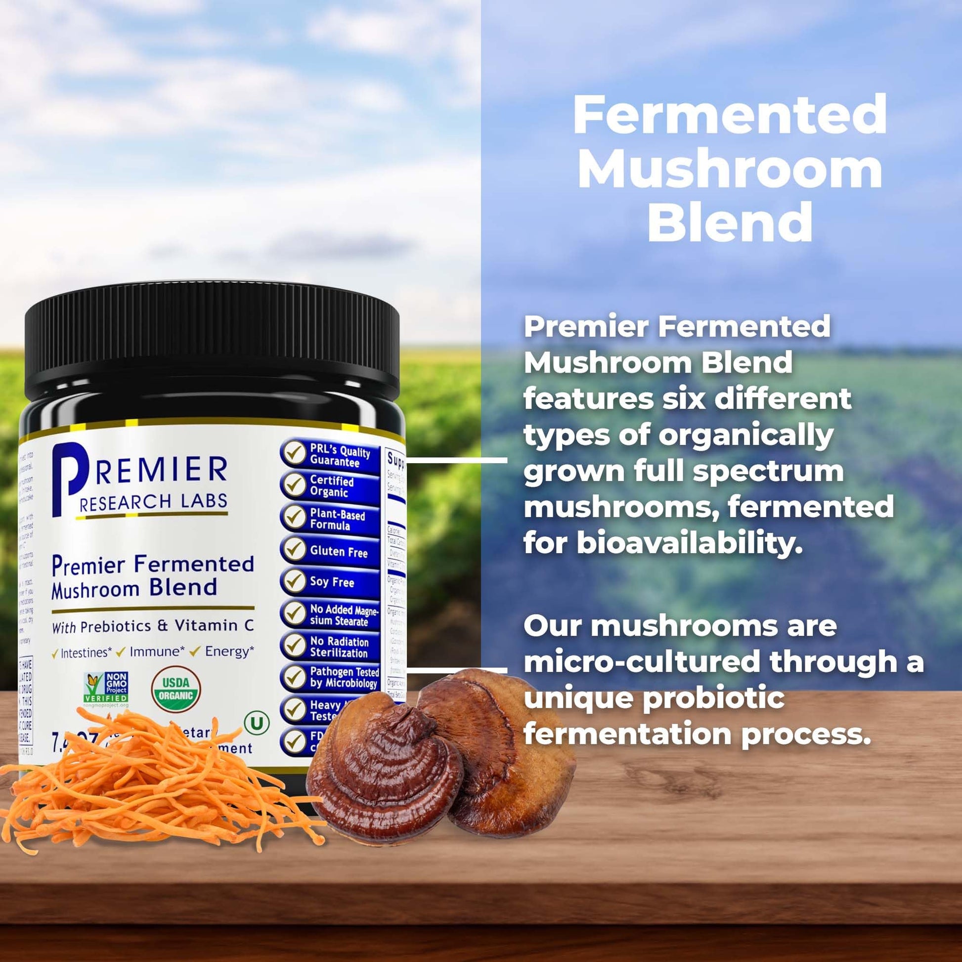 Premier Research Labs Premier Fermented Mushroom Blend - Reishi Mushroom Powder, Mushroom Extract for Drinks, Coffee, Mushroom Complex with Turkey Tail, Cordyceps for Immune & Gut Health - 7.4 oz Premier Research Labs uk supplements