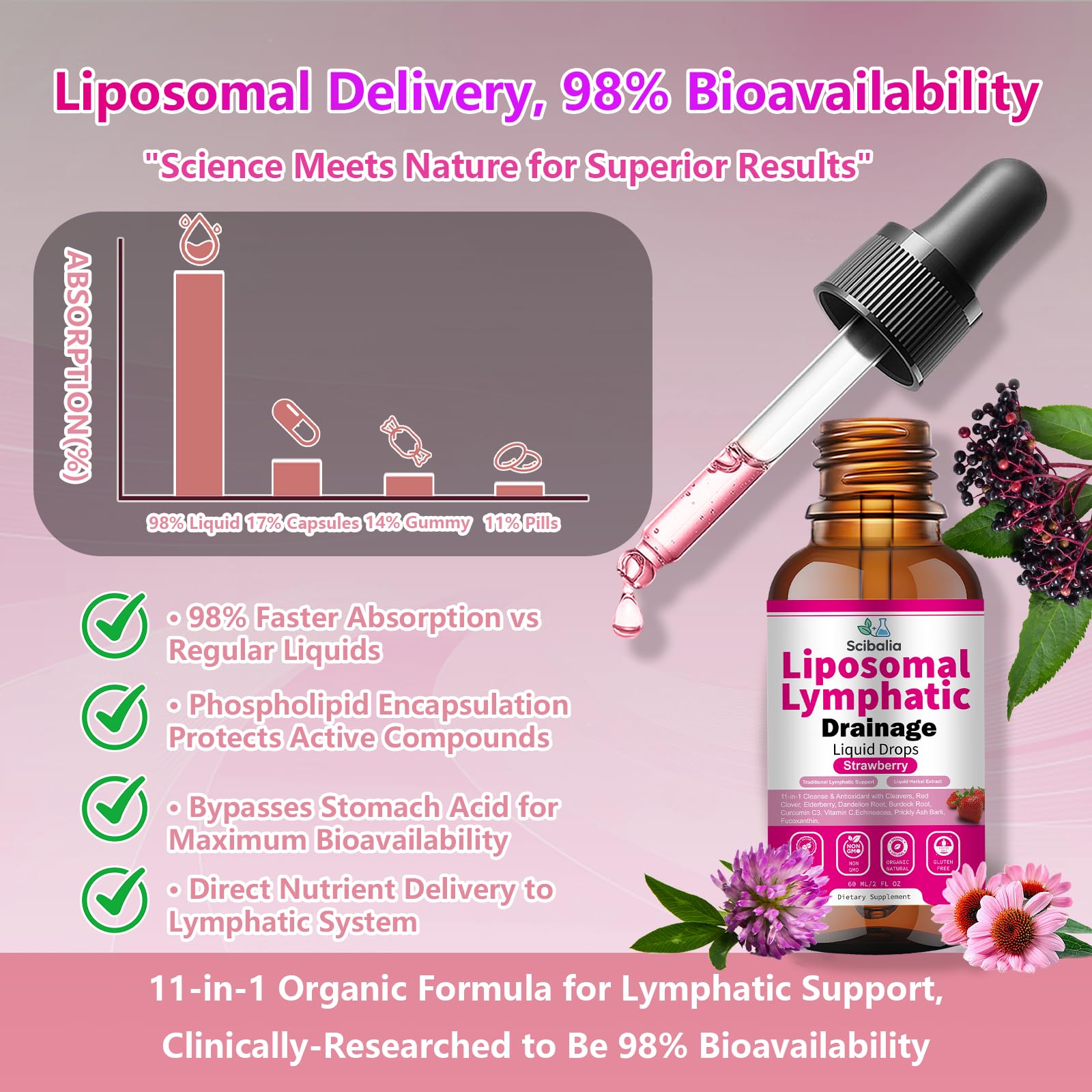 Scibalia Liposomal Lymphatic Drainage Drops, 11-in-1 Organic Lymphatic Support with Red Clover Echinacea Elderberry Burdock Root for Lymph Cleanse Immune Support & Daily Detox Vegan Non-GMO Scibalia uk supplements