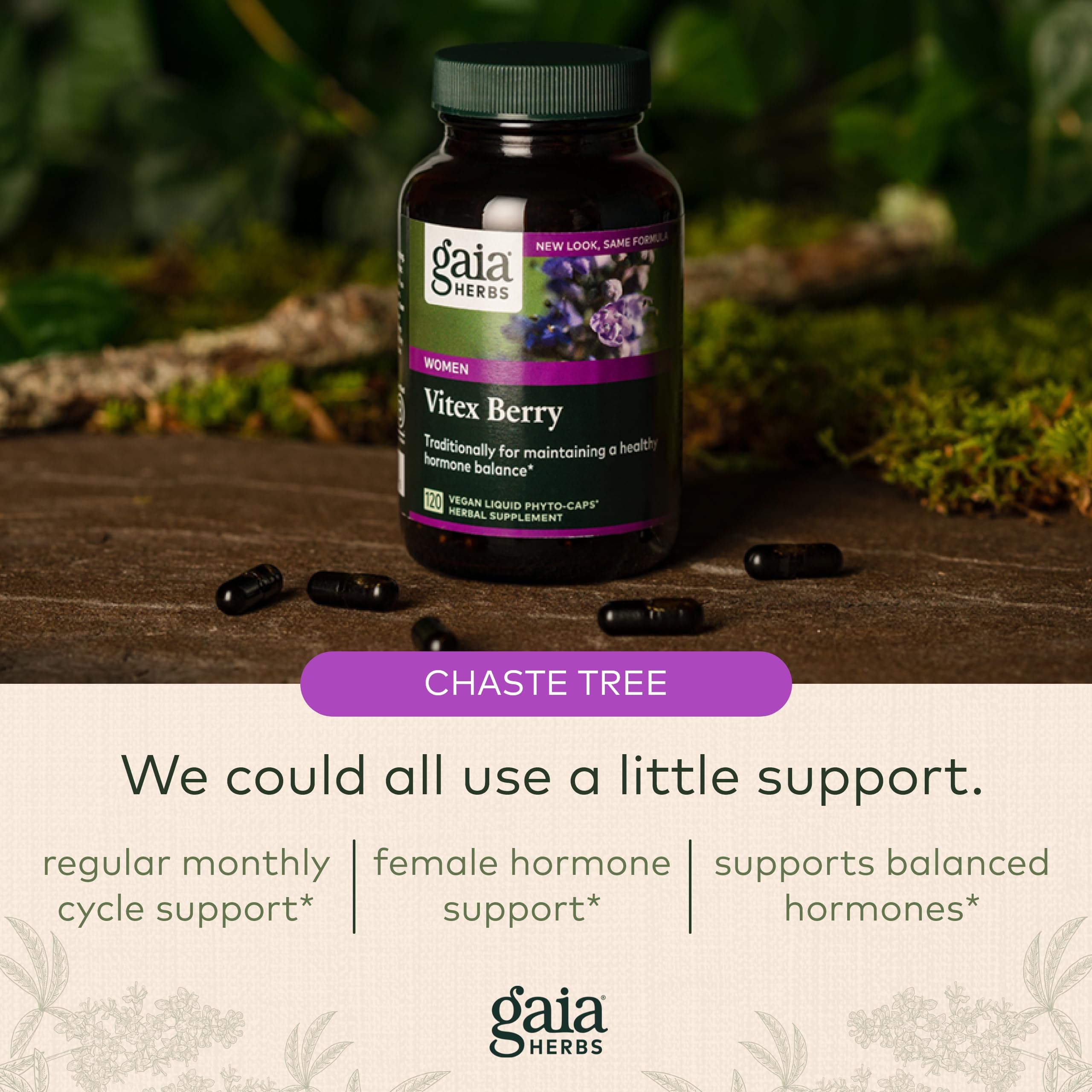 Gaia Herbs, Vitex Berry Vegan Liquid Phyto Capsules - PMS Support Supplement, Chaste Tree berry Gaia Herbs uk supplements
