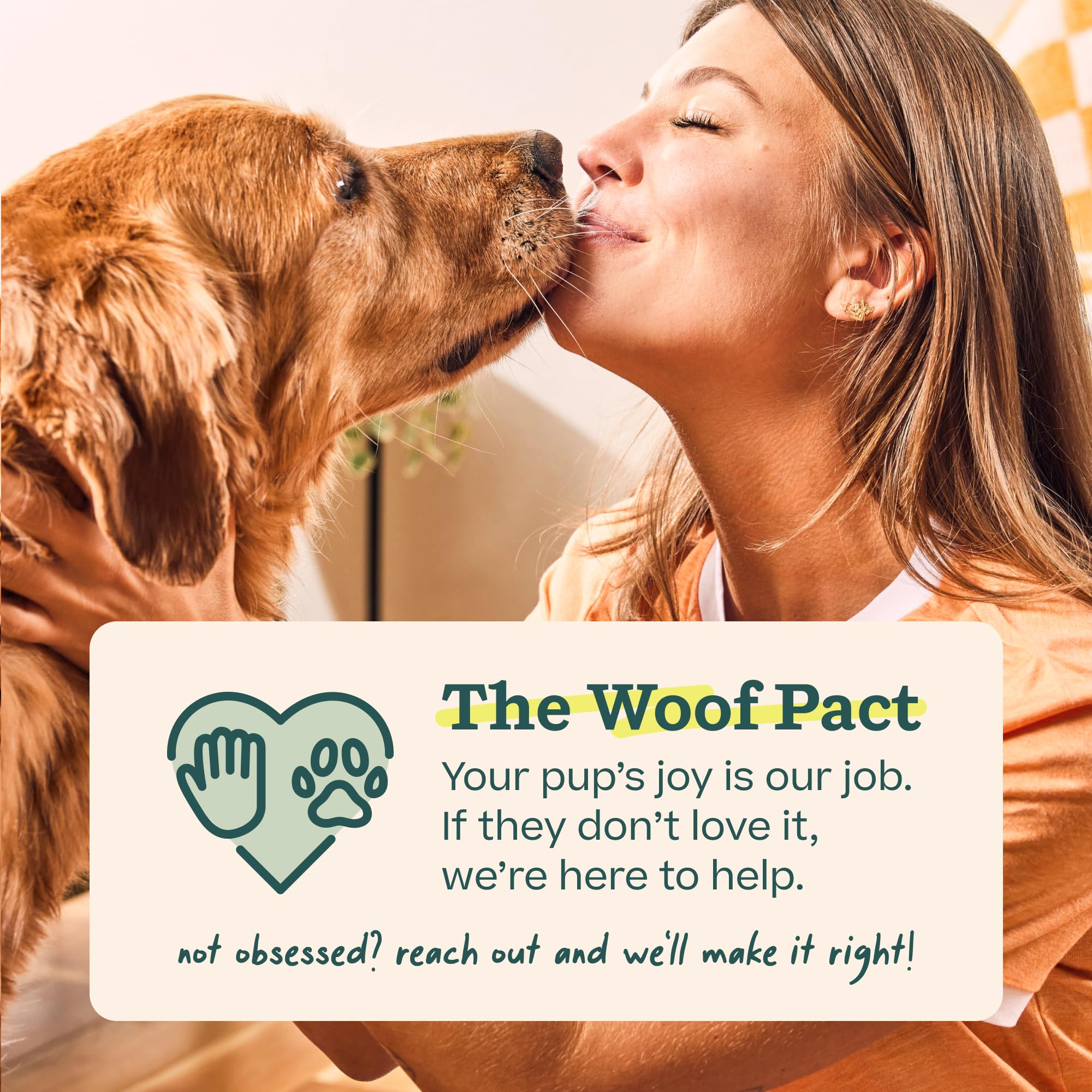 Woof Doggy Dental Pupsicle Mix - Dog Teeth Cleaning Powder for The Pupsicle - Long Lasting Postbiotic Dental Enzyme Mix to Support Oral Health for Dogs WOOF uk supplements