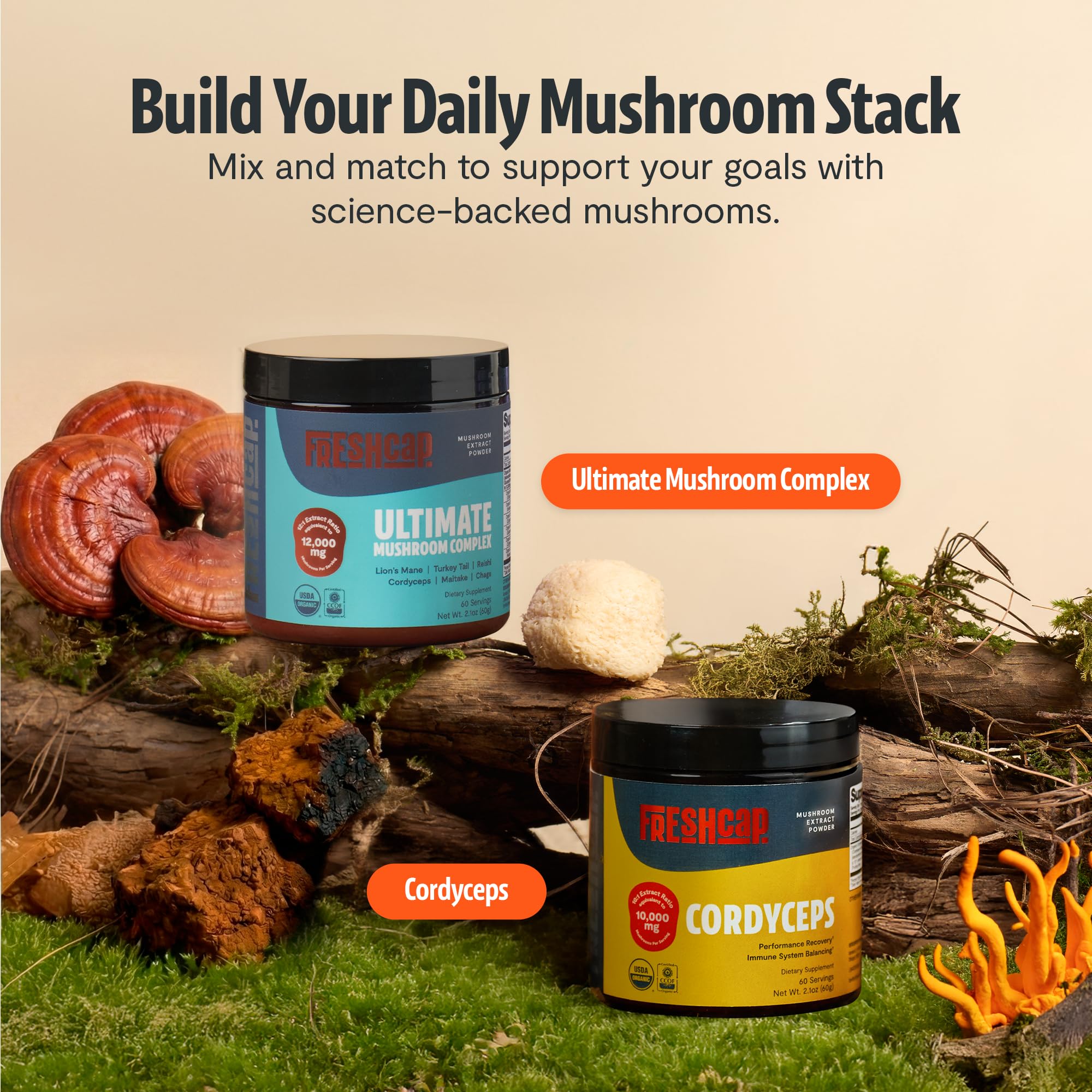 FreshCap Mushrooms Ultimate Mushroom Supplement Powder 12,000mg - Nootropic Organic Mushroom Complex for Focus & Memory, Brain Support Supplement, Ayurveda Mushroom Powder Extract (60 Servings) FreshCap Mushrooms uk supplements