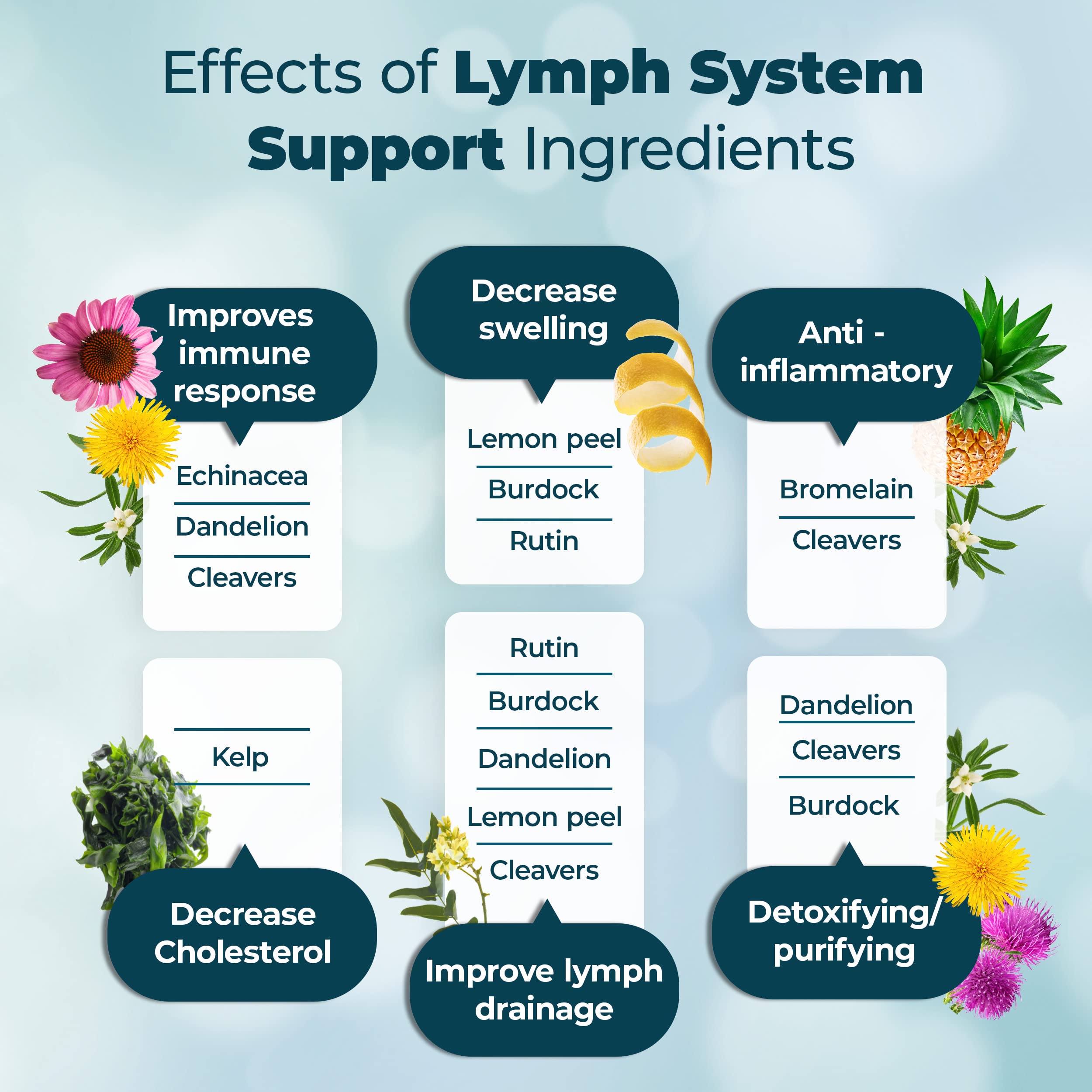 PUREHEALTH RESEARCH Lymph System Support Supplement - Lymphatic Drainage Supplement PUREHEALTH RESEARCH uk supplements