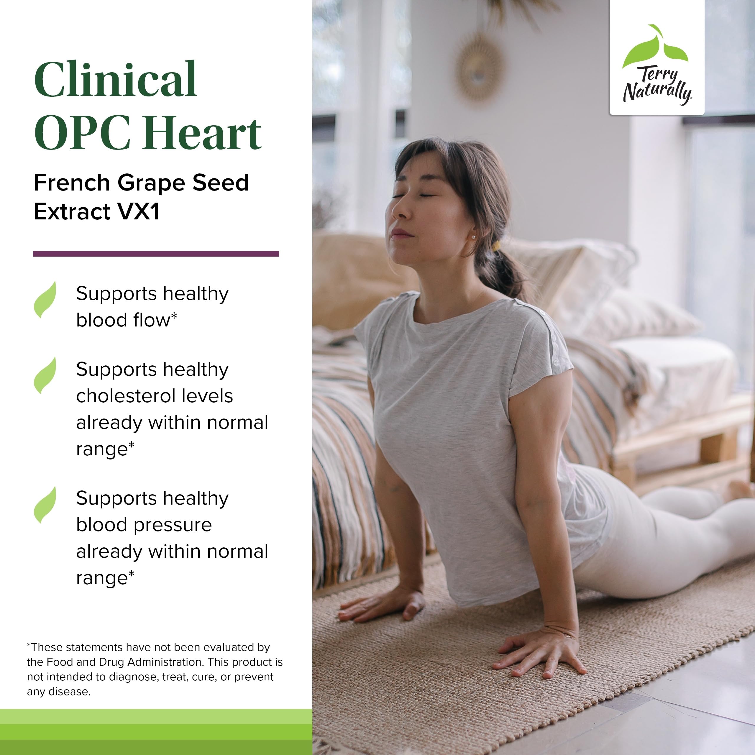 Terry Naturally Clinical OPC Heart - Heart Health Supplement with Magnesium, Vitamin B6, Grape Seed Extract - Dietary Supplement for Artery Health & Circulation - 60 Capsules Terry Naturally uk supplements