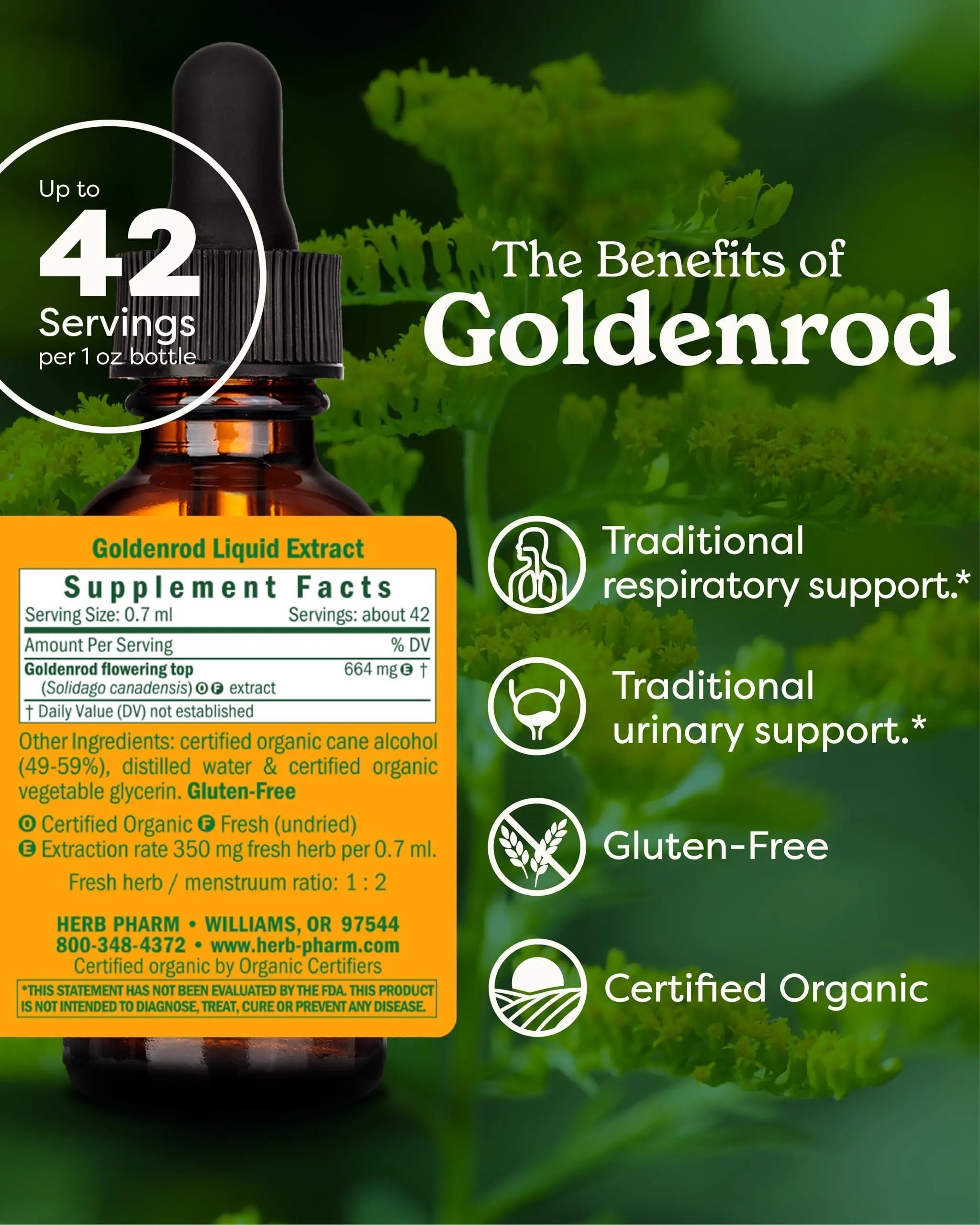 Herb Pharm Certified Organic Goldenrod Liquid Extract for Urinary System Support, 1 Fl Oz (Pack of 1) Herb Pharm uk supplements