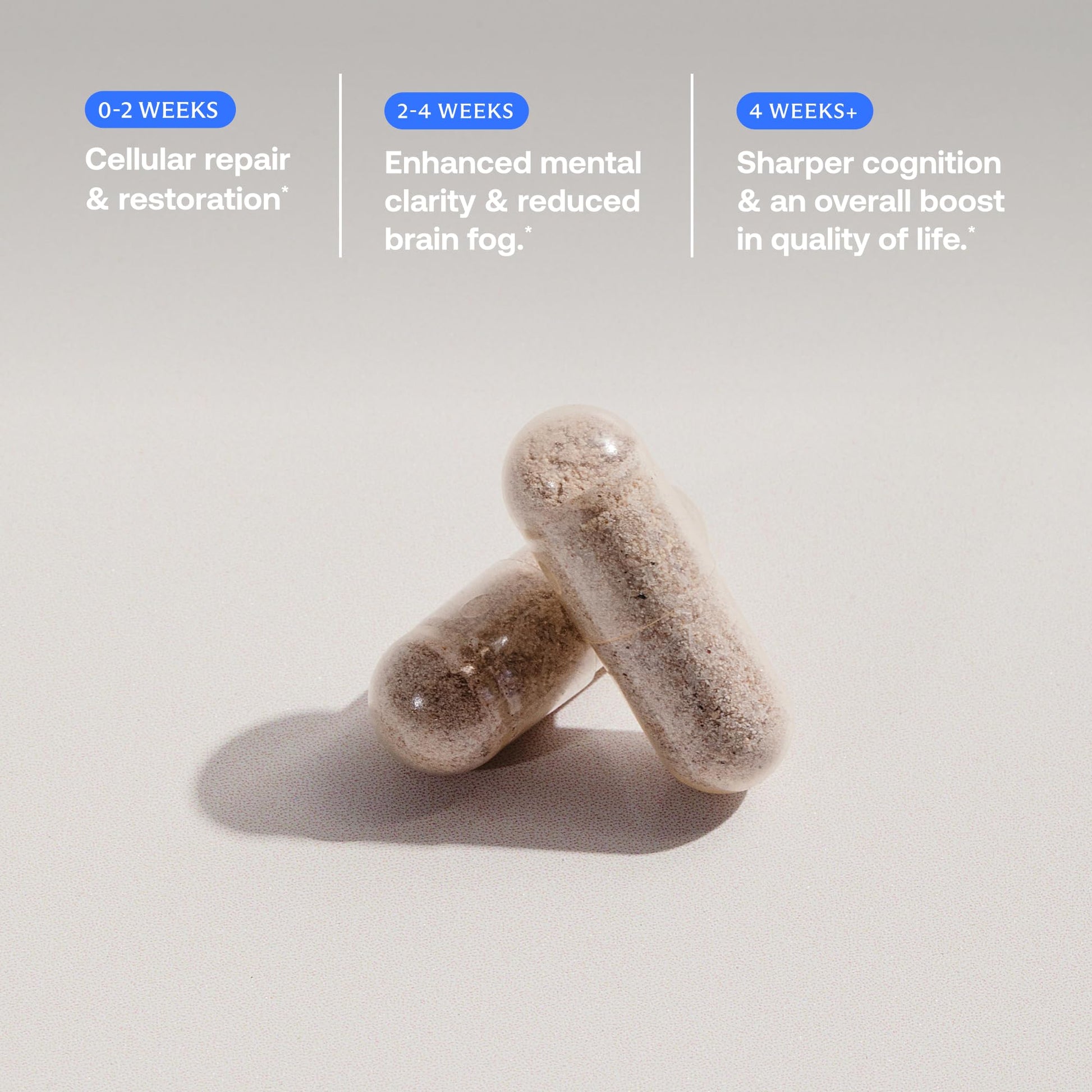 BodyBio Calm - Natural Stress Relief Blend with Rhodiola, Glycine & Phosphatidylserine - Supports Relaxation, Mental Focus & Balanced Cortisol - Non - Drowsy Formula BodyBio uk supplements
