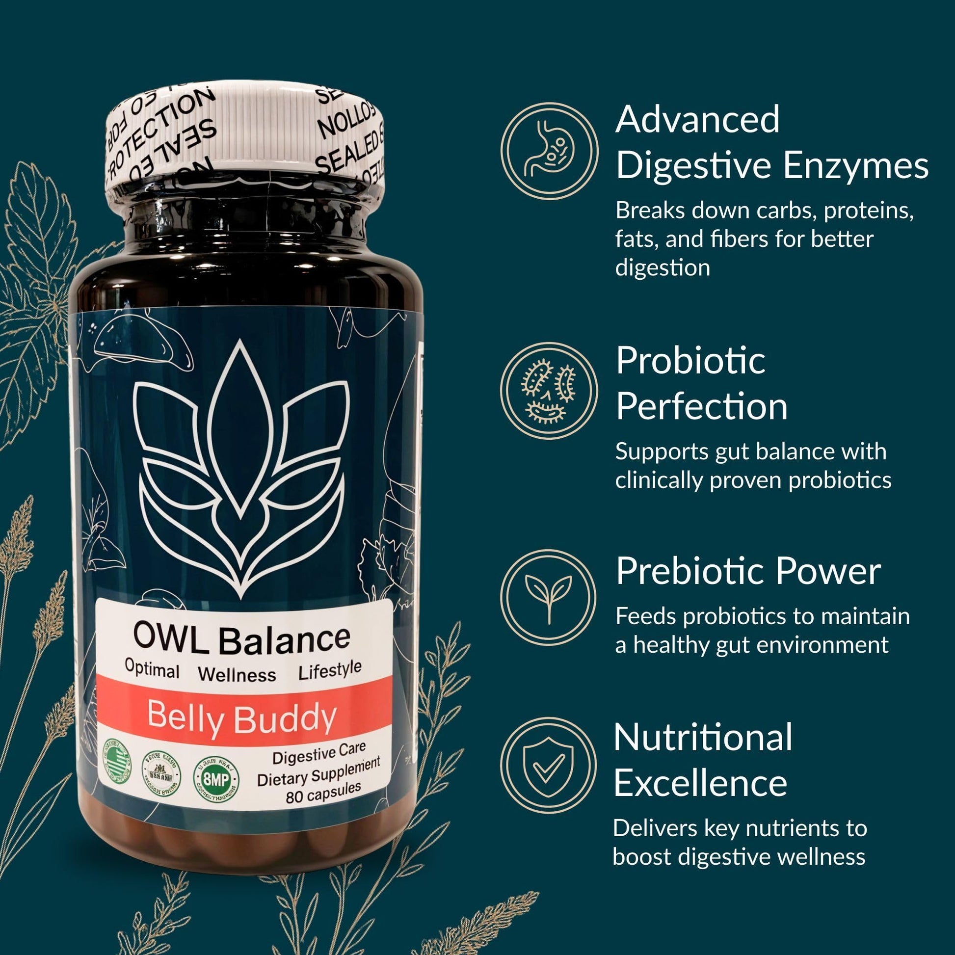 Belly Buddy Advanced Gut Health Support containing a helthy Blend of Probiotics, Prebiotics, and Digestive Enzymes OWL Balance uk supplements