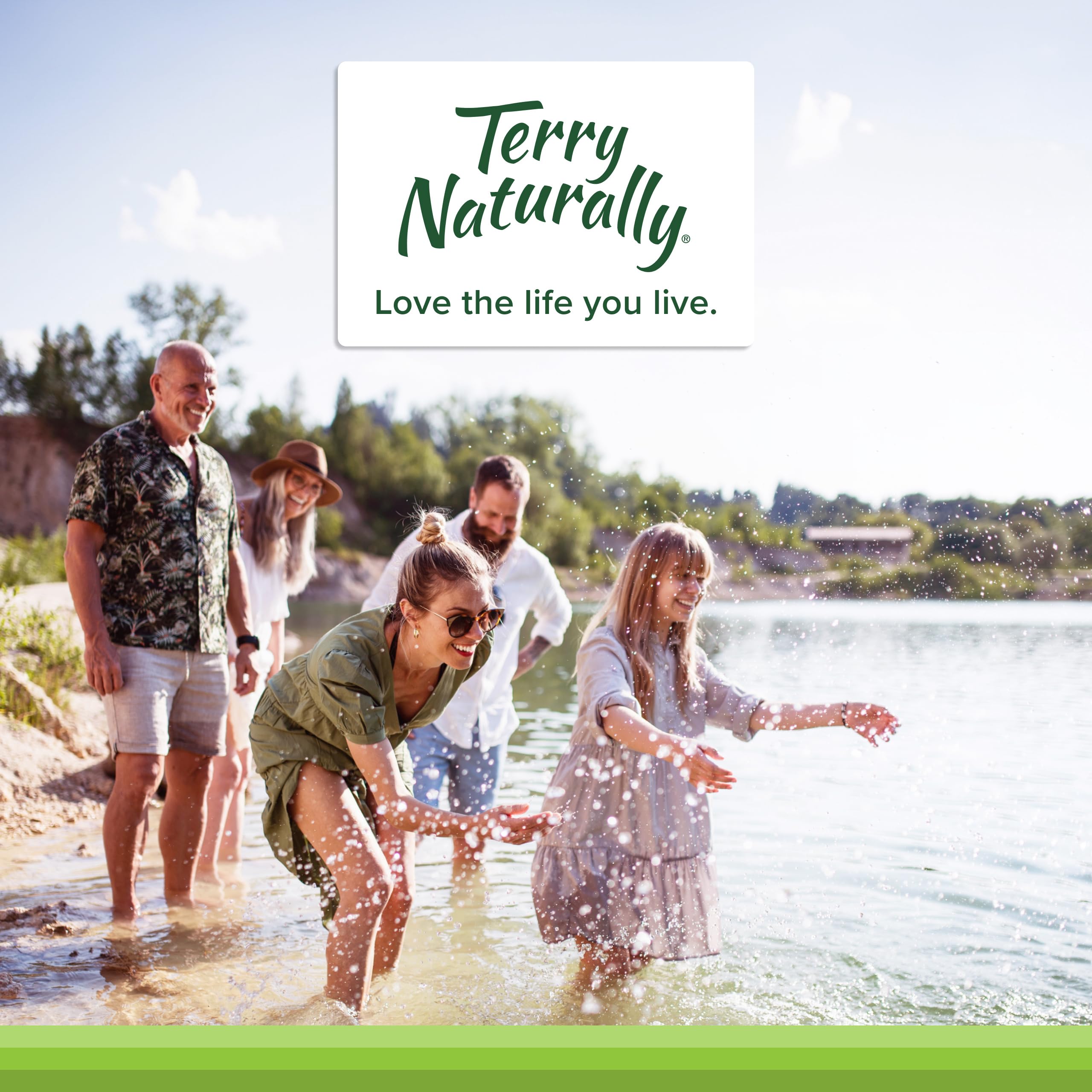 Terry Naturally Healthy Cholesterol with Amla - Antioxidant Supplement for Immune & Heart Support - Supplement to Aid Healthy Cholesterol & Triglyceride - 60 Capsules Terry Naturally uk supplements