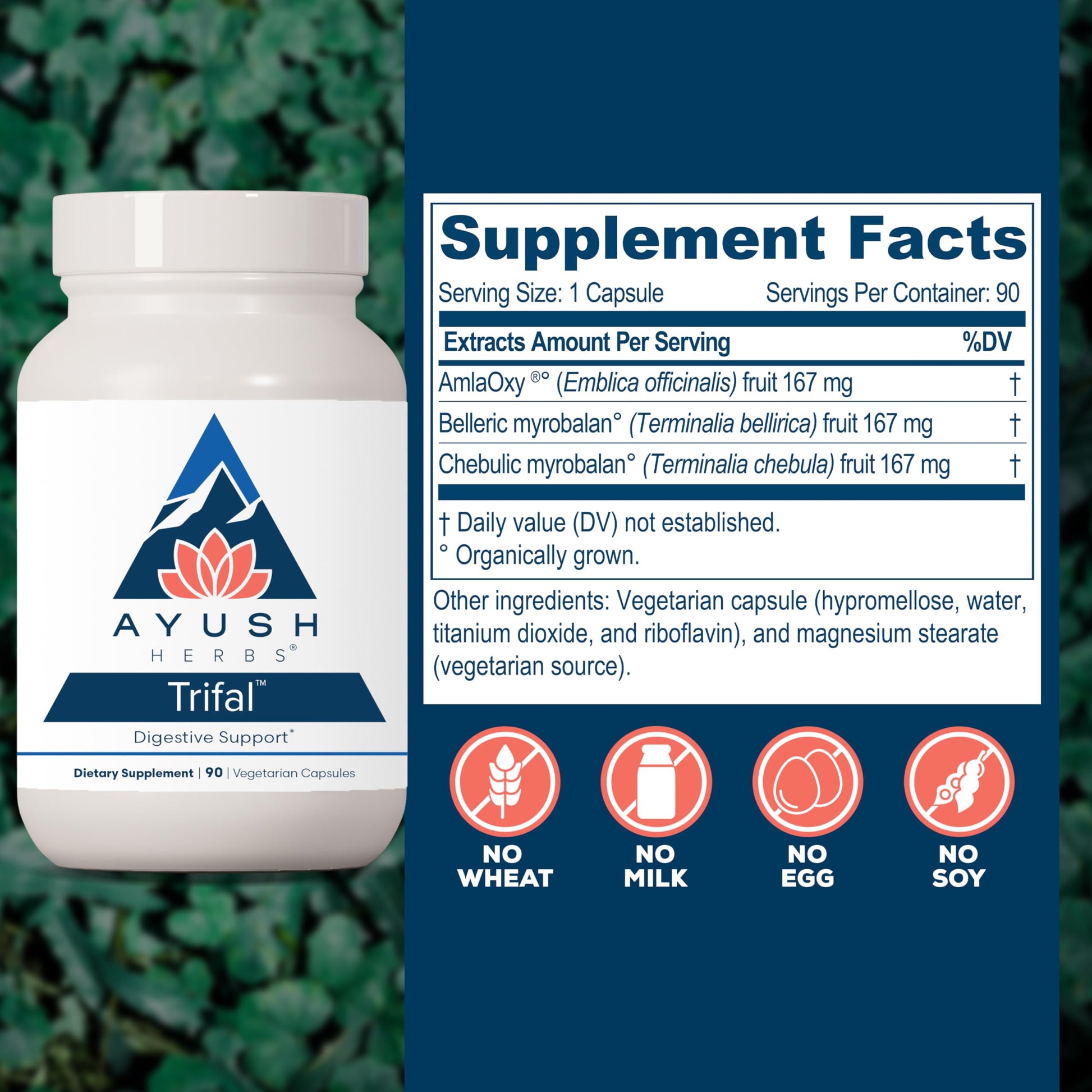Ayush Herbs Trifal Digestive Support with Amla - Triphala Supplement for Women & Men, Promotes Balanced Digestion, Antioxidant Rich, Made with Organic Ingredients - 90 Vegetarian Capsules (1 Count) Ayush Herbs uk supplements