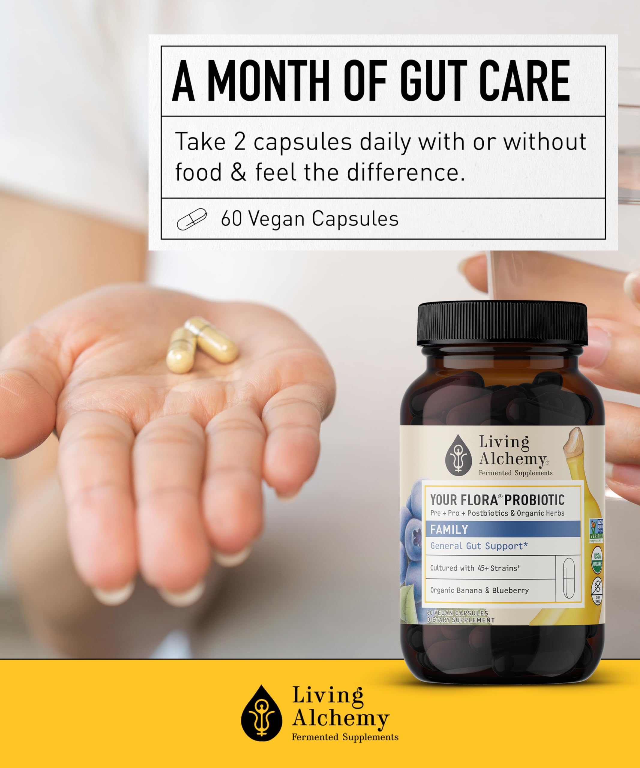 Your Flora Probiotic Family – Non-GMO Probiotics with Fermented Soybean, Banana, & Blueberry for Digestion & Gut Support – Prebiotics, Postbiotics, Digestive Enzymes – Living Alchemy, 60 Capsules Living Alchemy uk supplements