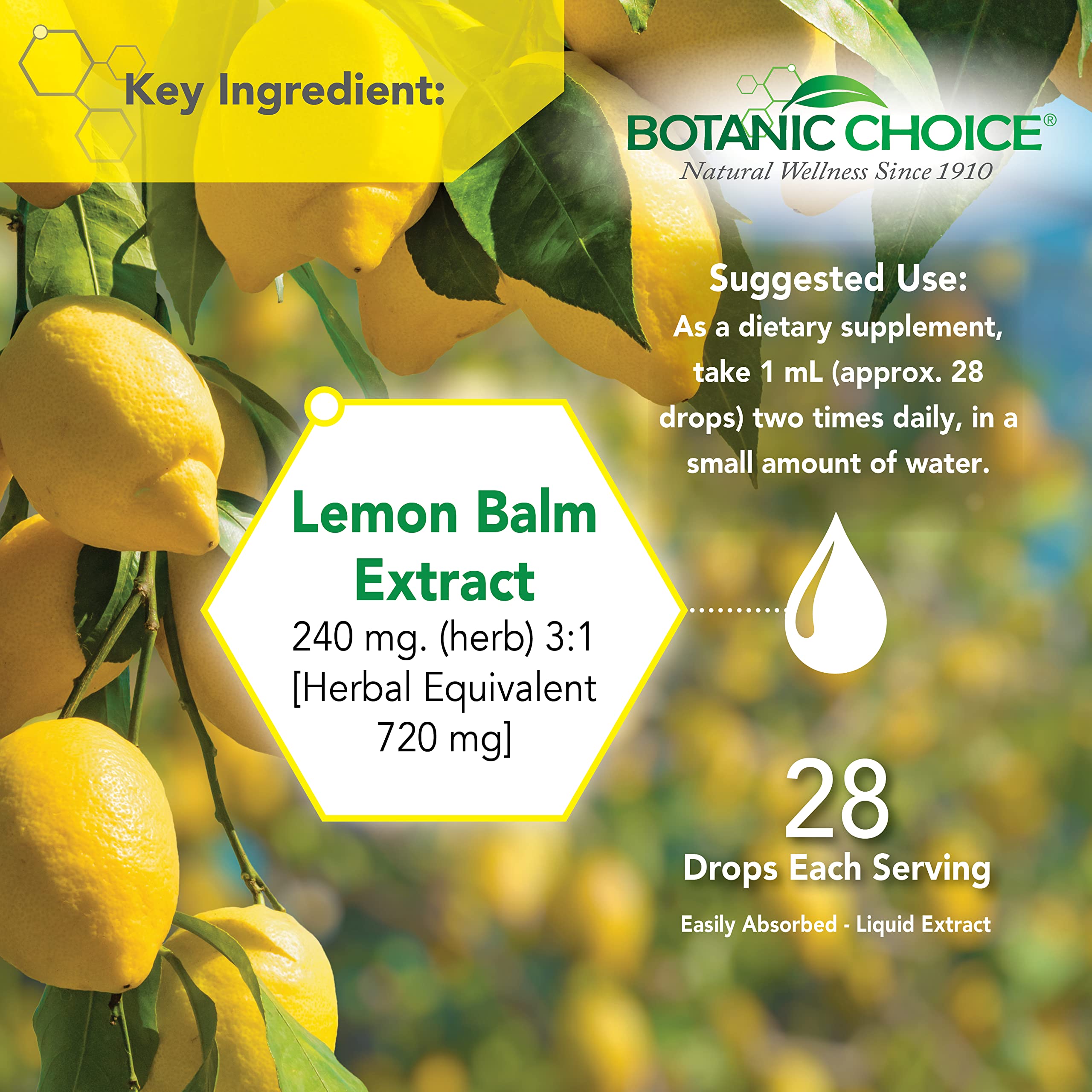 Botanic Choice Mega Fruits and Veggies Blend (60 Capsules) + Lemon Balm Tincture (1 fl oz) Bundle - Energy Balance & Superfood Supplement + Relaxation and Sleep Support Botanic Choice uk supplements
