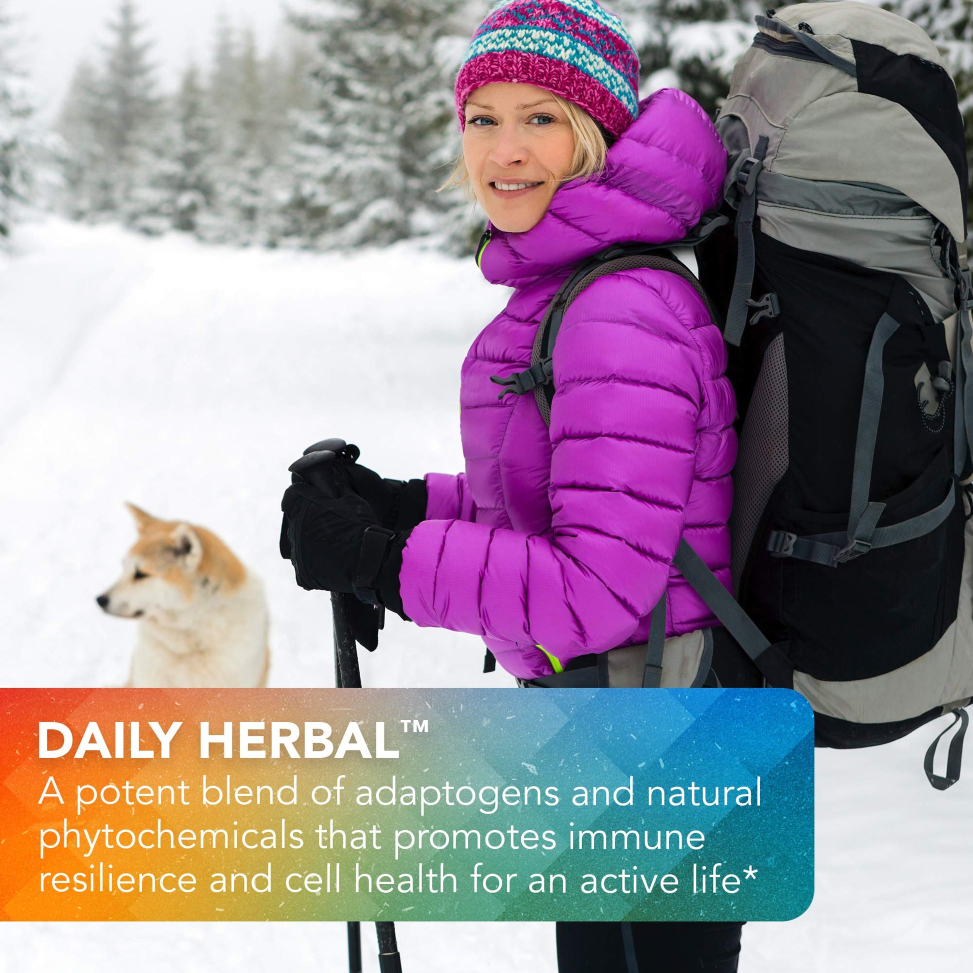 Vital Plan Daily Herbal Supplement by Dr. Bill Rawls – Herbal Immunity Booster for Immune Support, Microbiome Balance & Cell Health — Reishi Mushroom, Turmeric & Rhodiola Vital Plan uk supplements