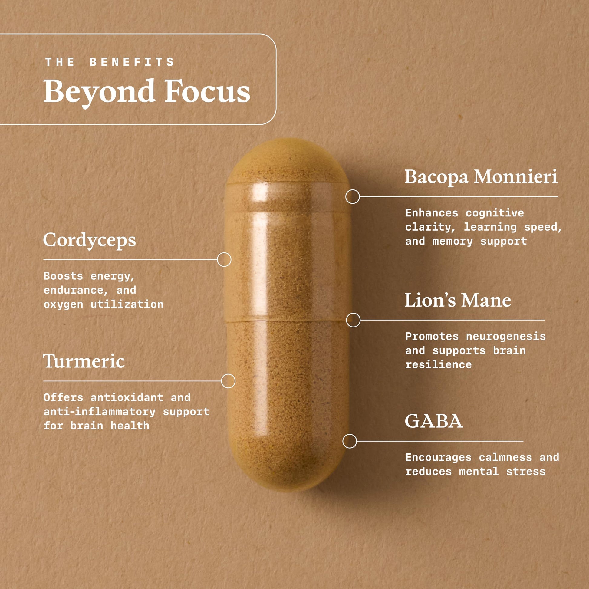 Ultra Life Sport - Beyond Focus Organic Mushroom Supplement - 30 Capsule Brain Supplements for Memory and Focus - 100% Vegan, Non-GMO - Memory Booster with Bacopa, Cordyceps, & Lion’s Mane Ultra Life Sport uk supplements