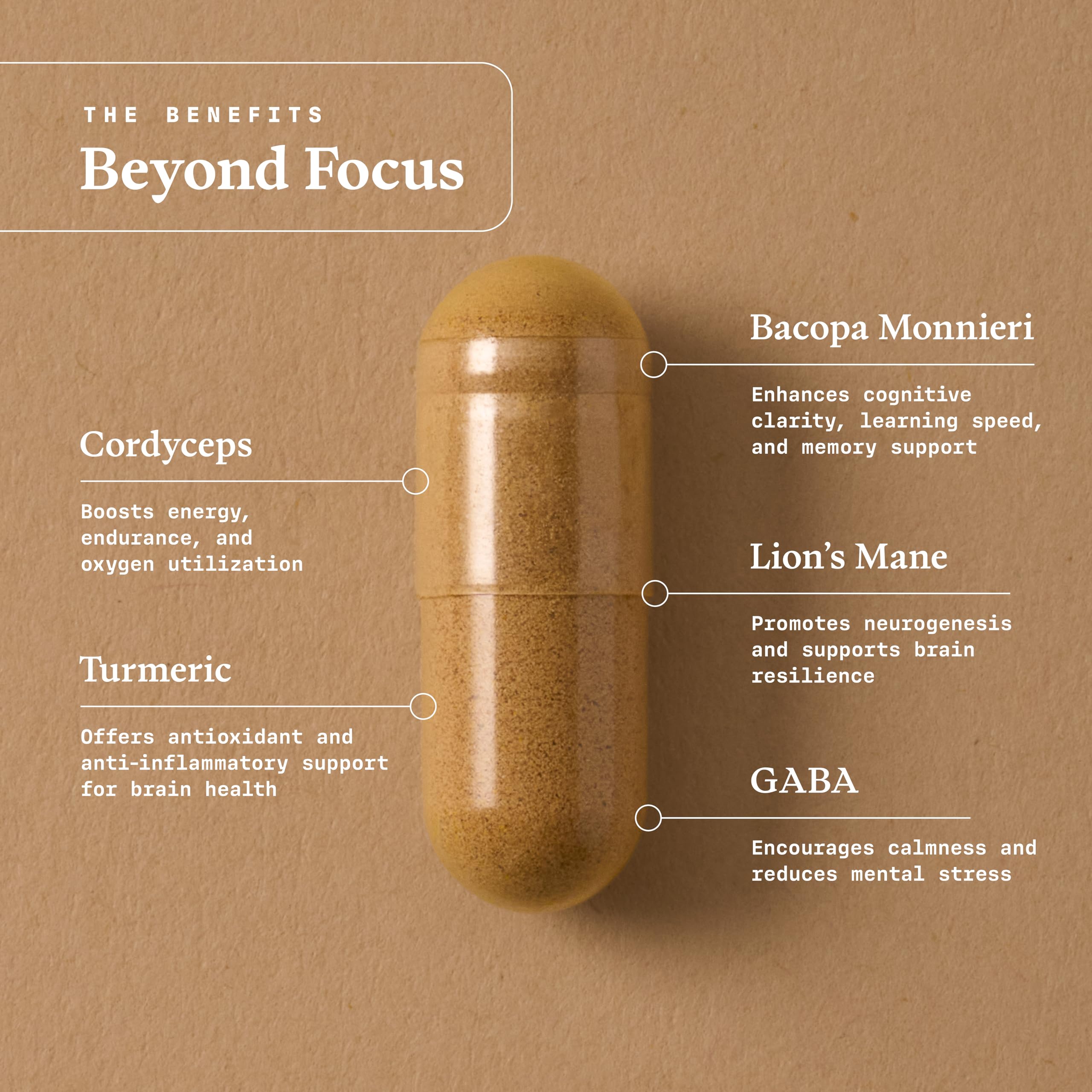 Ultra Life Sport - Beyond Focus Organic Mushroom Supplement - 30 Capsule Brain Supplements for Memory and Focus - 100% Vegan, Non-GMO - Memory Booster with Bacopa, Cordyceps, & Lion’s Mane Ultra Life Sport uk supplements